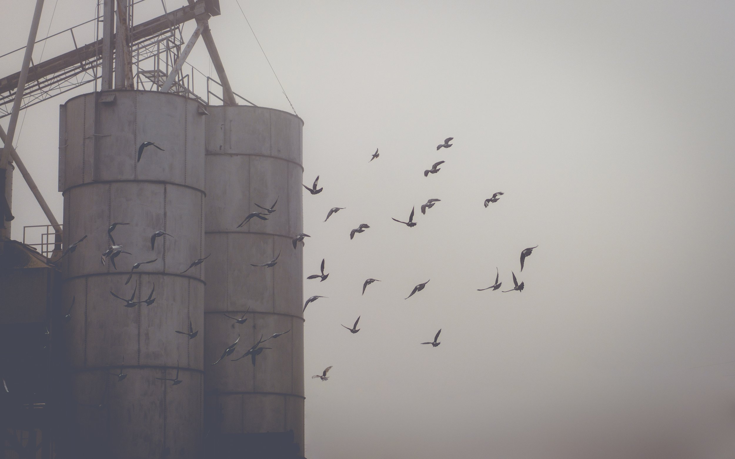 Industry