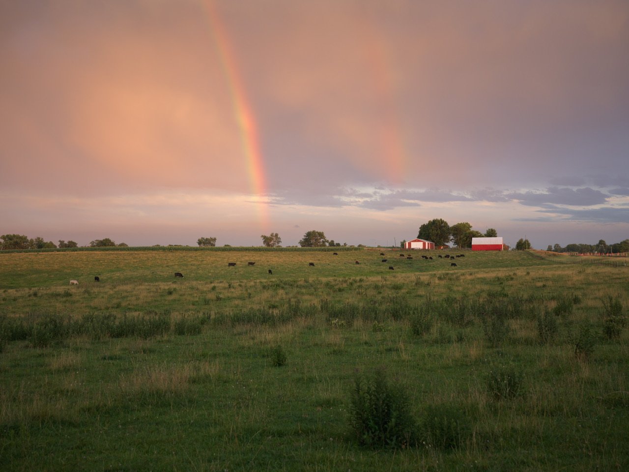 Distant Thunder