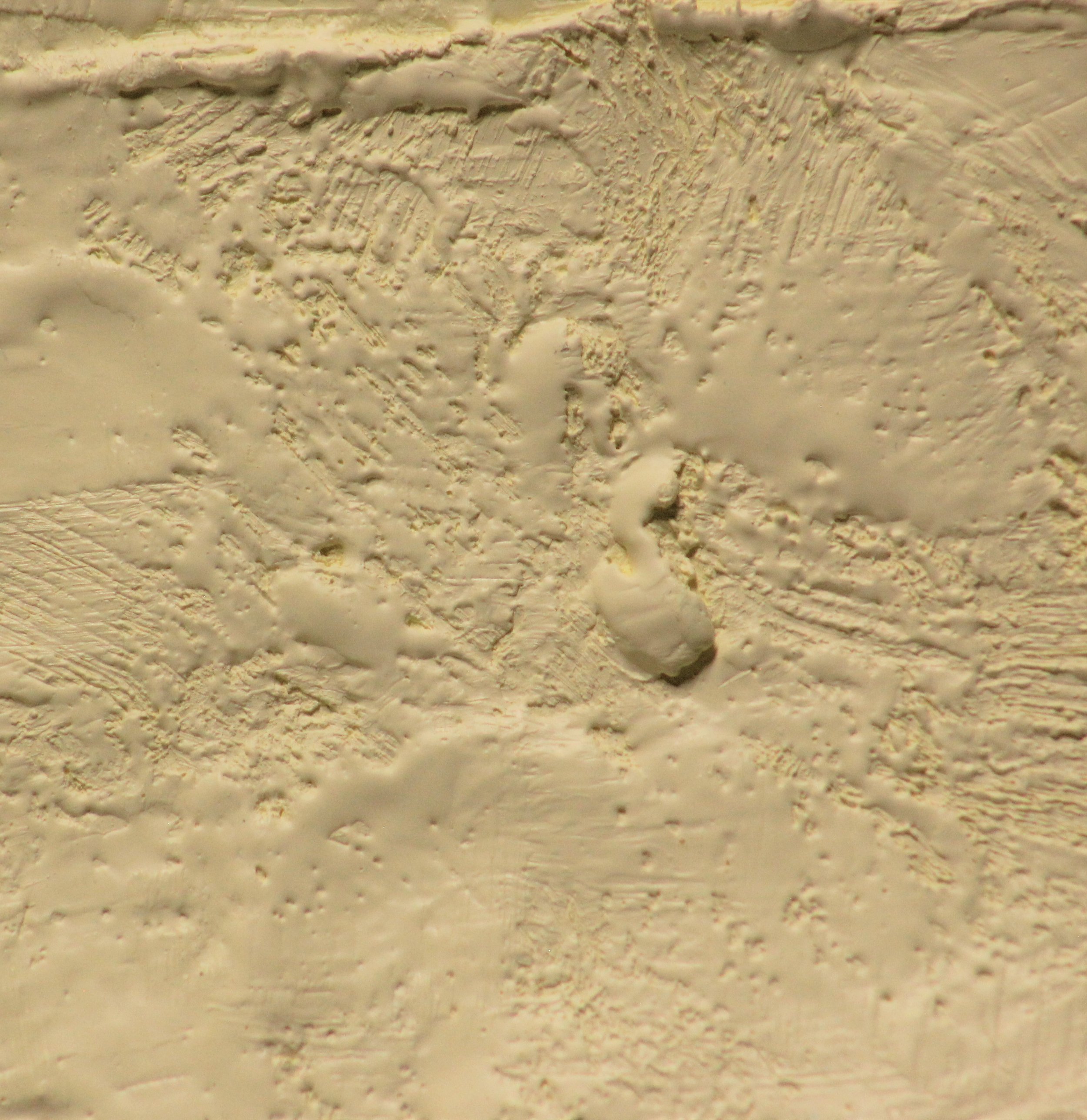 Brillant YellXP3.JPG