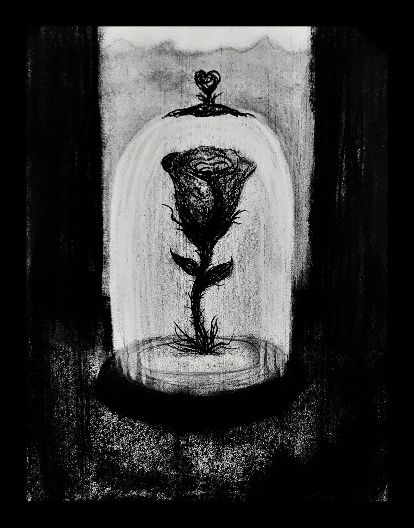 Rachaels' Rose