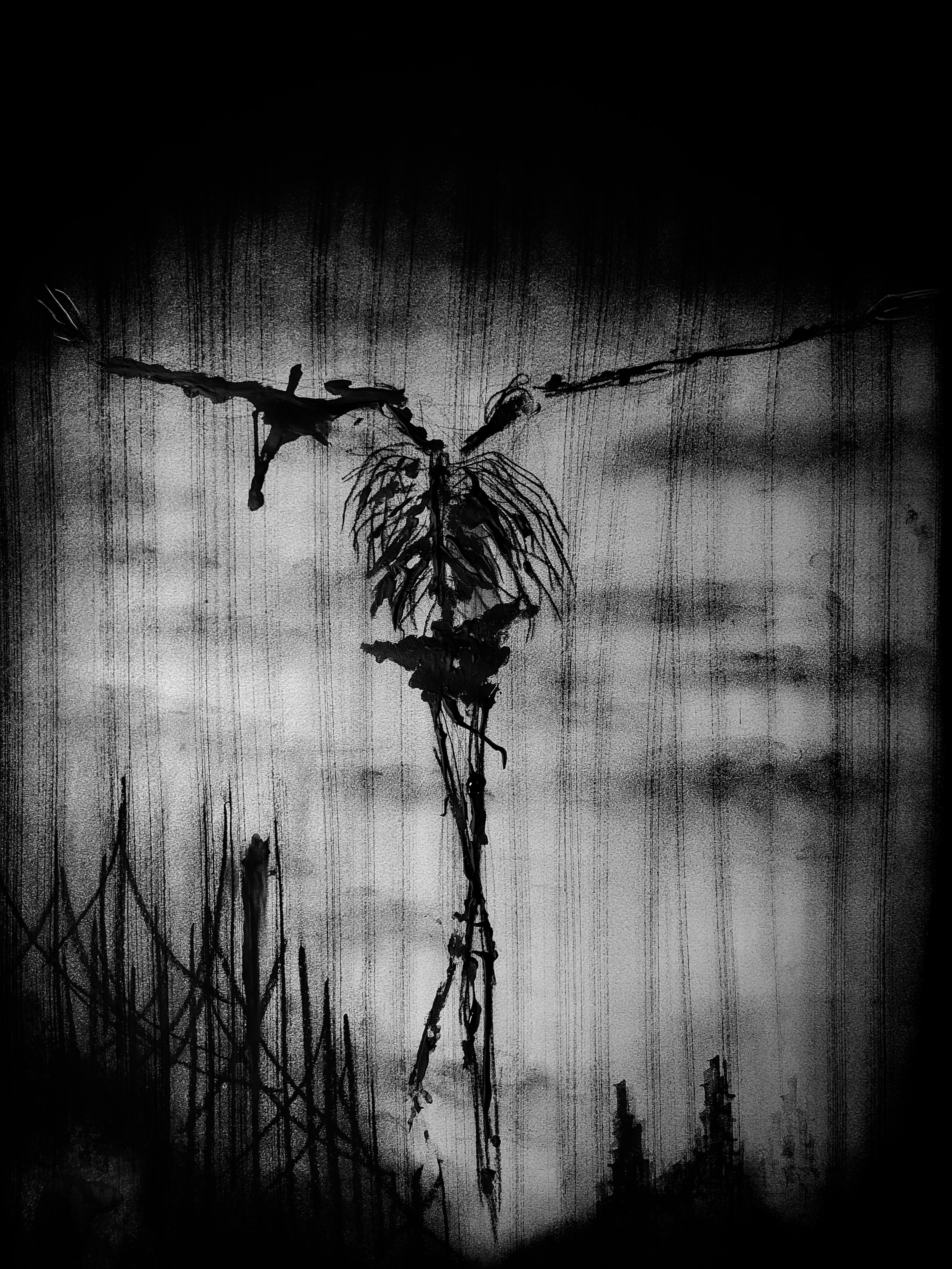 OF THE FLIES