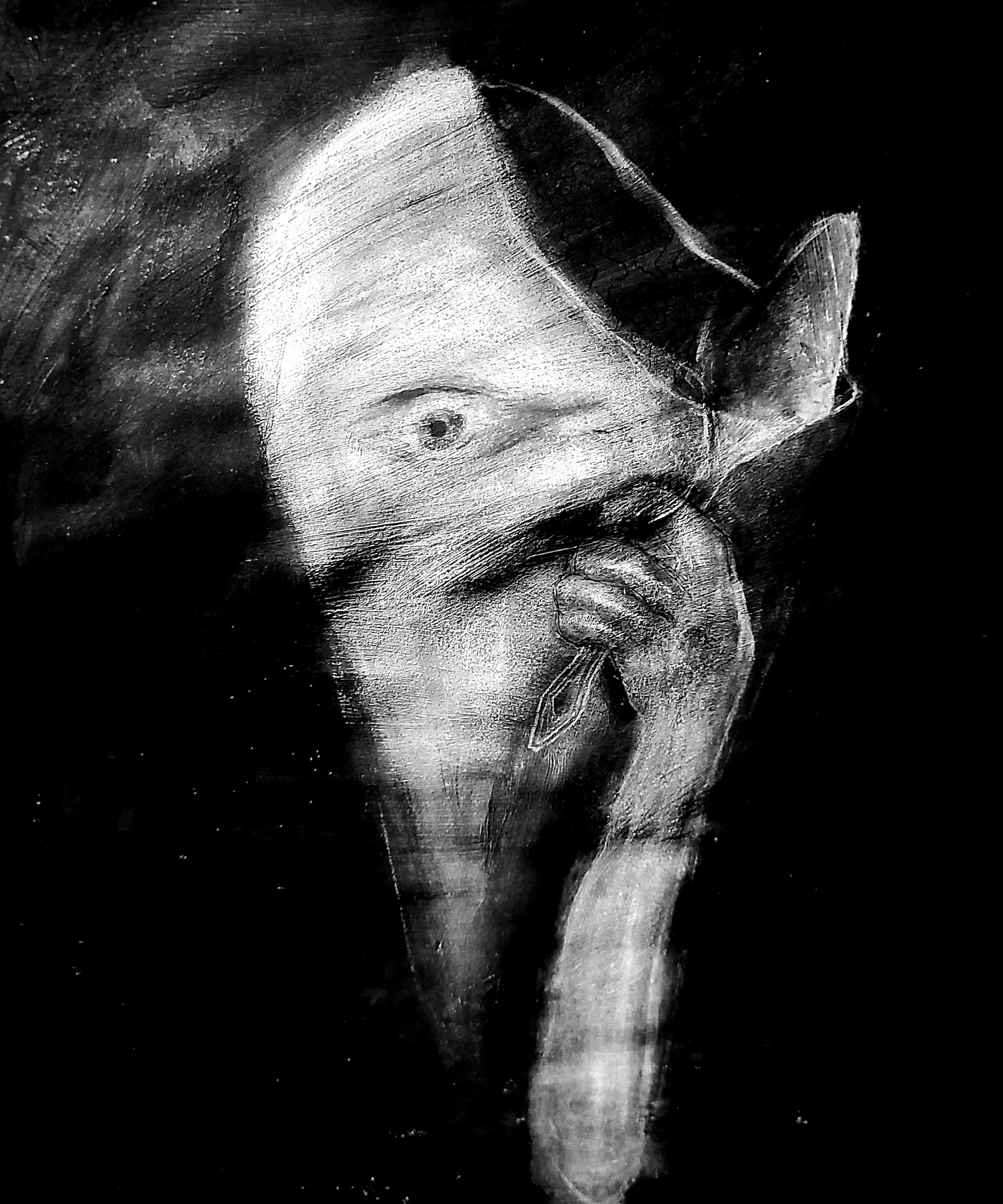 Left Encephalon Entophic.jpg