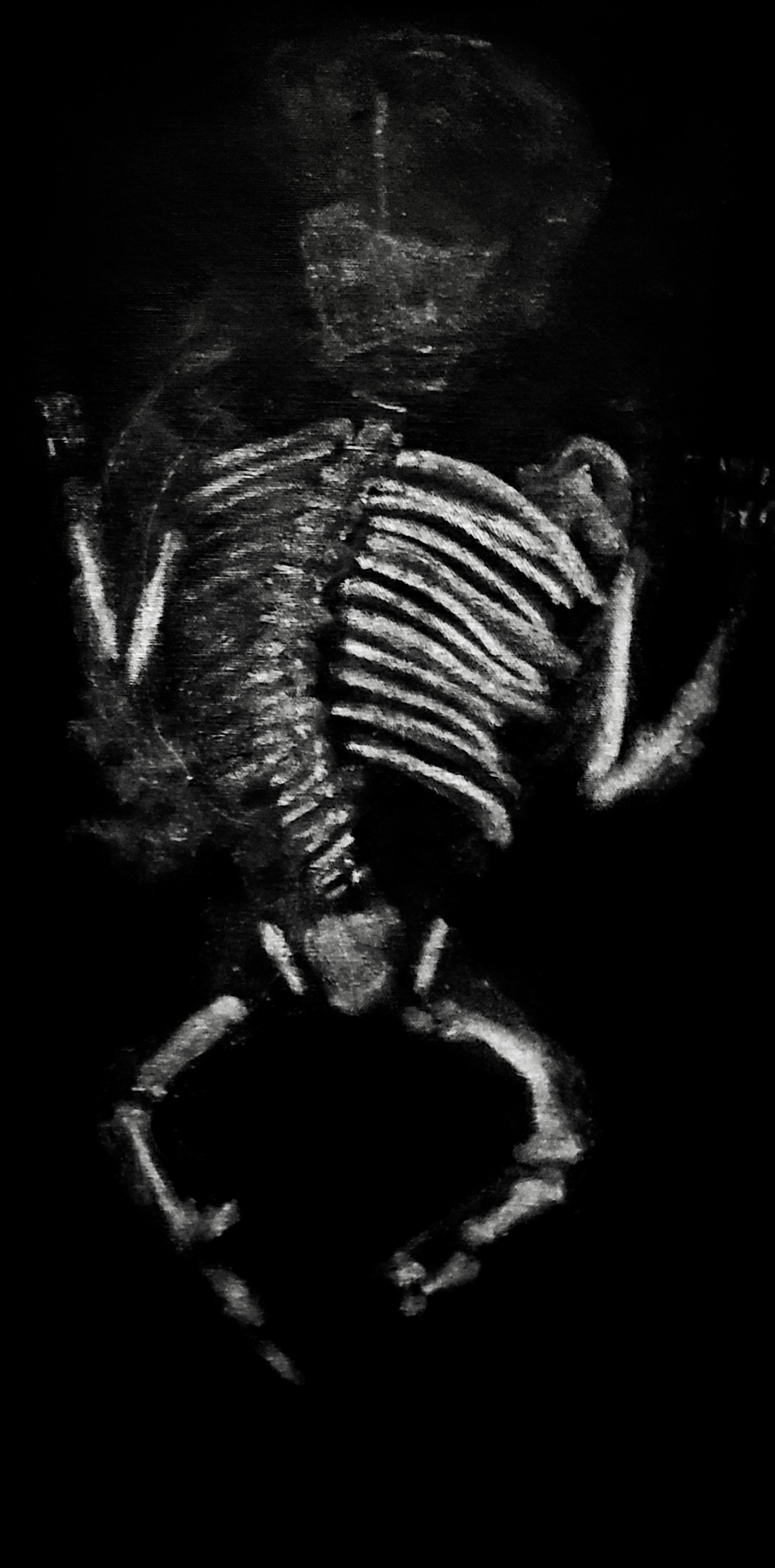 20210226_105749_polarr.jpg
