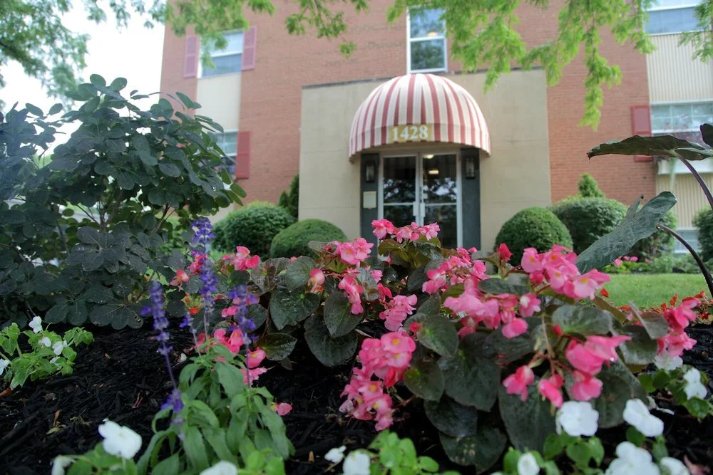 King Avenue Apartments