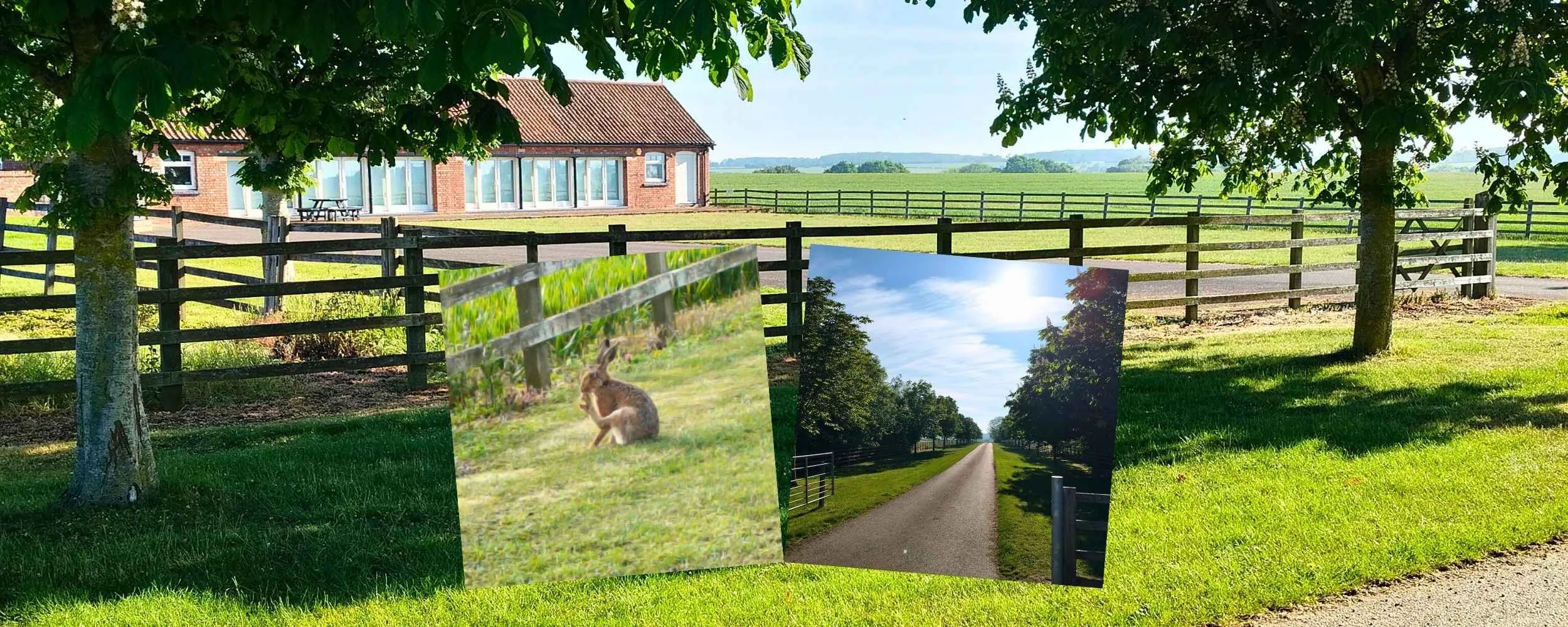The quiet country driveway and academy building at our peaceful Lincolnshire sanctuary near Grantham, showcasing the mature tree avenue and local wildlife welcoming students to our sound therapy taster day.