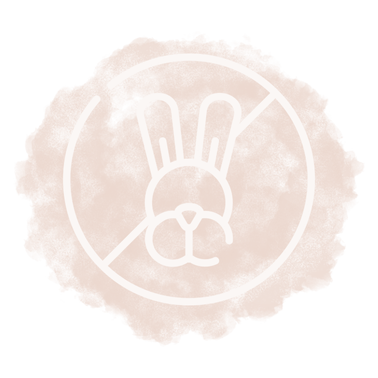 ICON_AHS_03.png