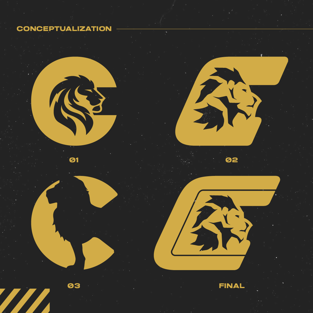 Conceptualization