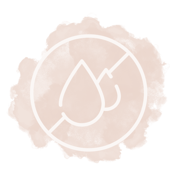 ICON_AHS_01.png