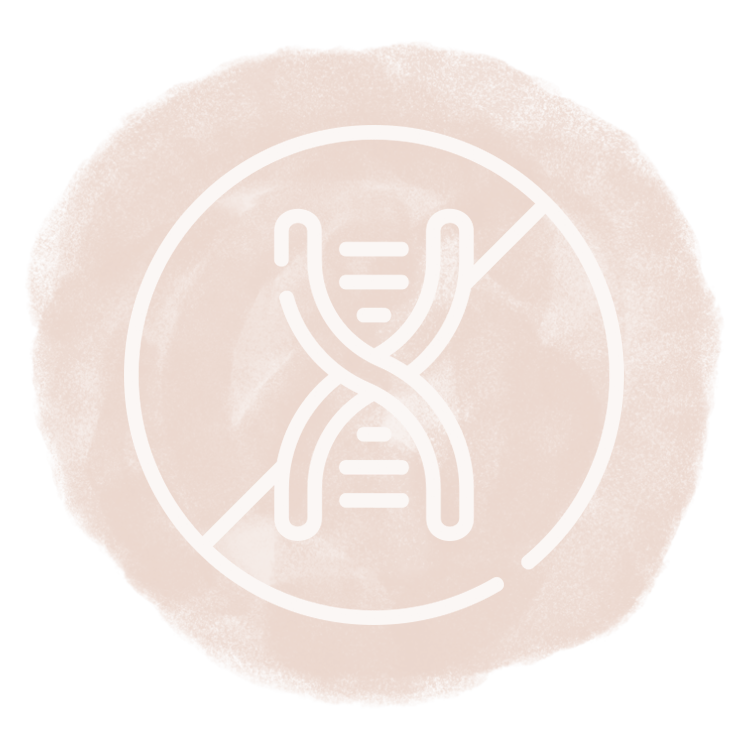 ICON_AHS_05.png