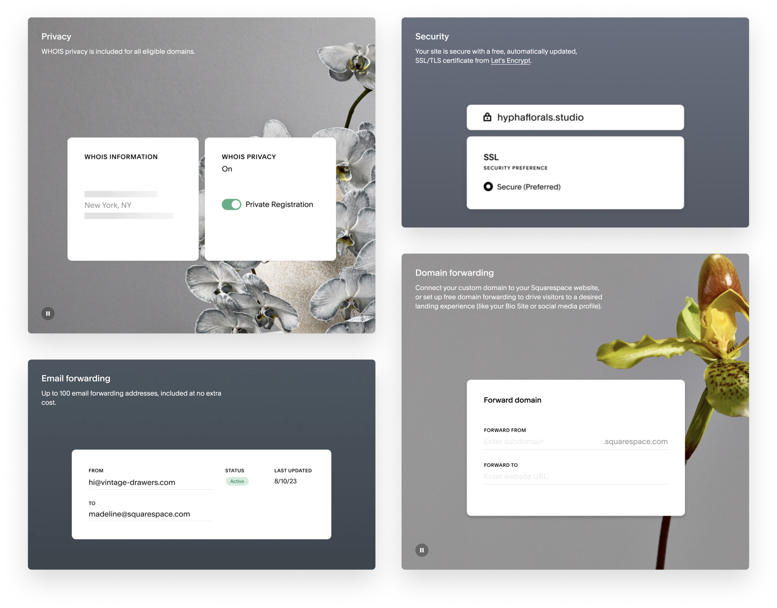 Screenshot of a website or application interface related to domain management and privacy settings. The interface features sections about privacy, security, email forwarding, and domain forwarding. The background includes floral designs with orchids and other flowers.