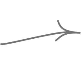 A simple black and gray diagram of a fish skeleton.
