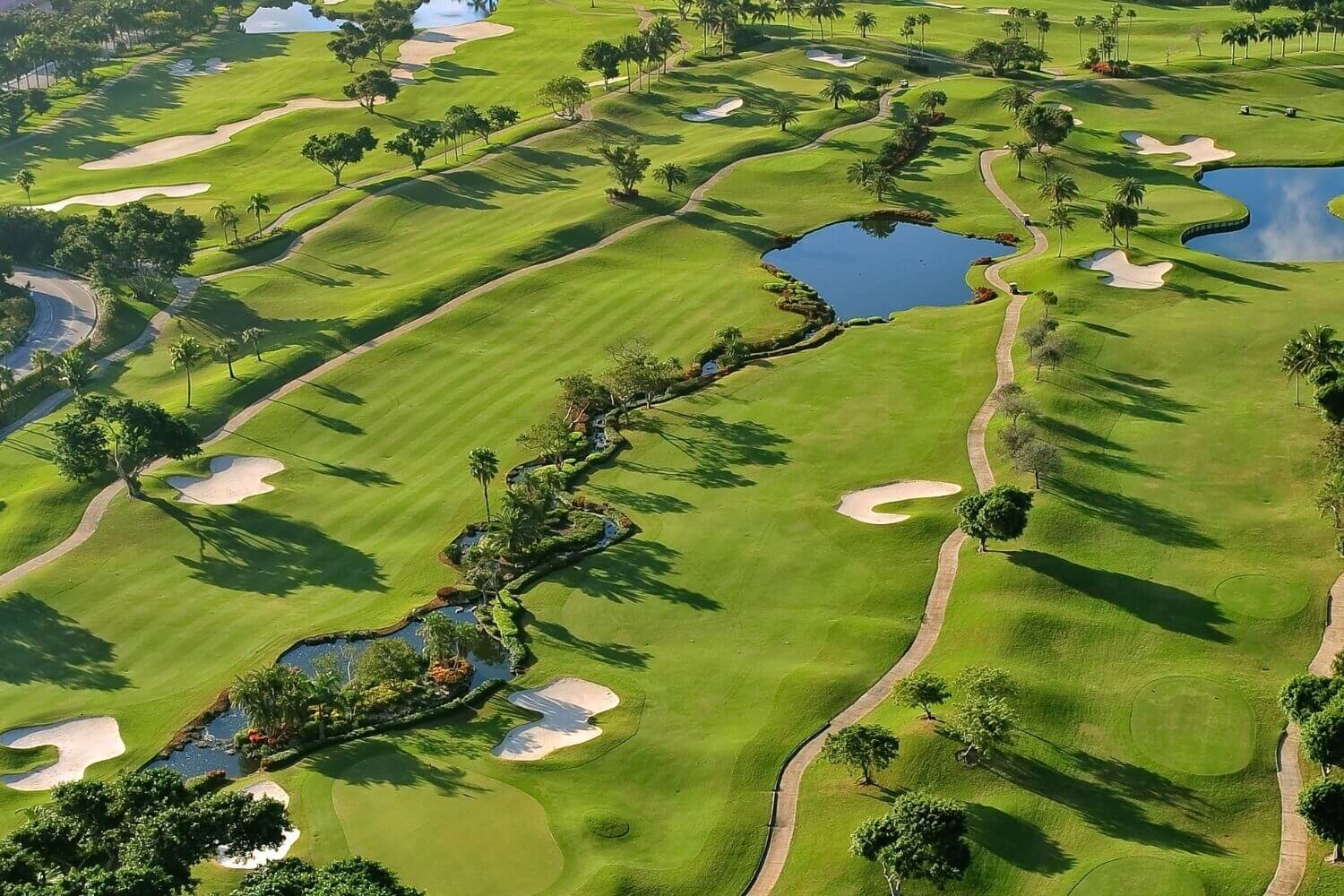 aerial view of golf course with palm trees and sunlight