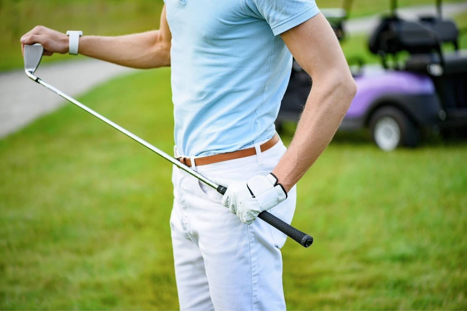 Male golfer holding golf club