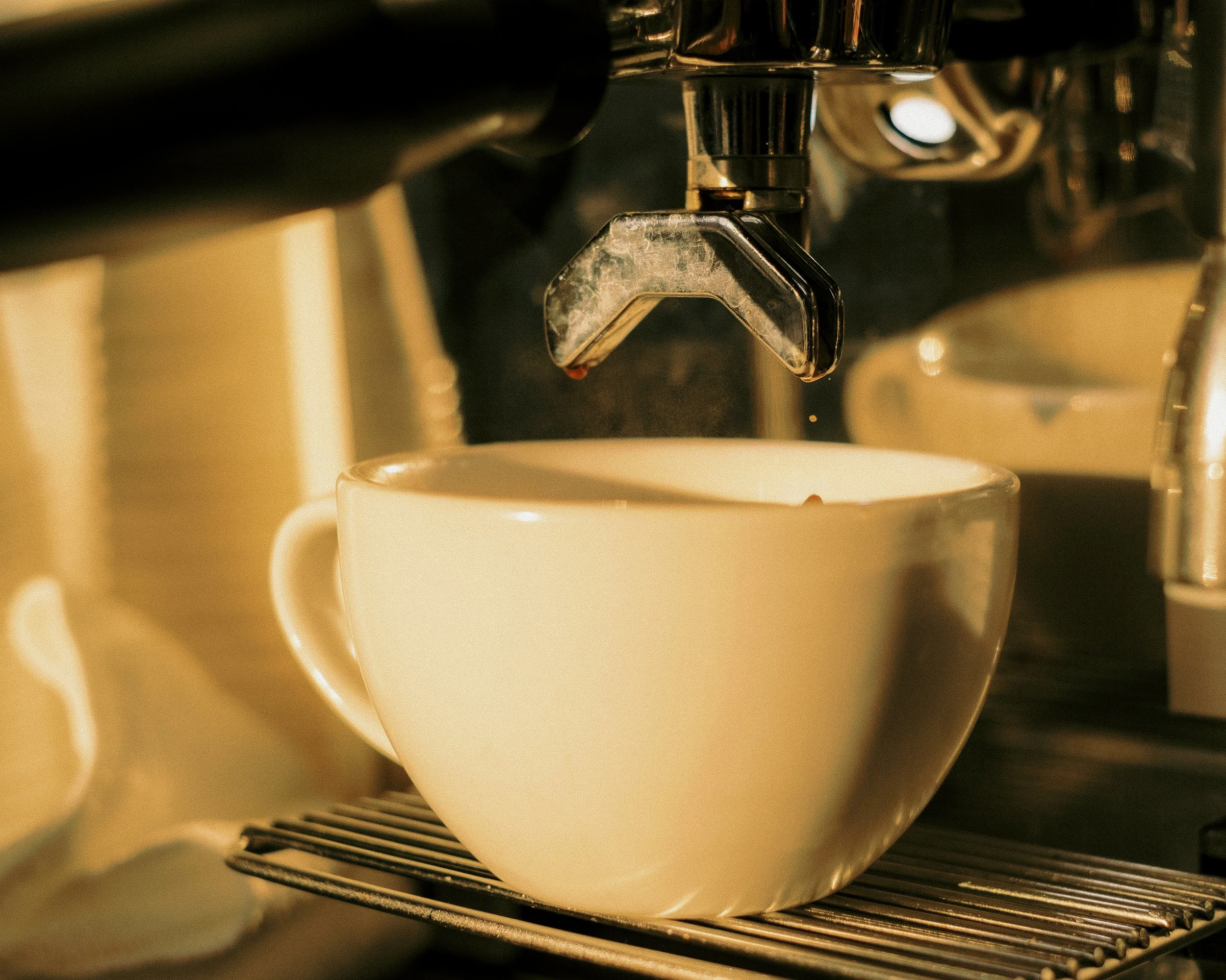 Grounds Hounds Posts.jpg