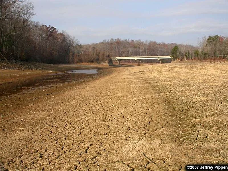 The Drought