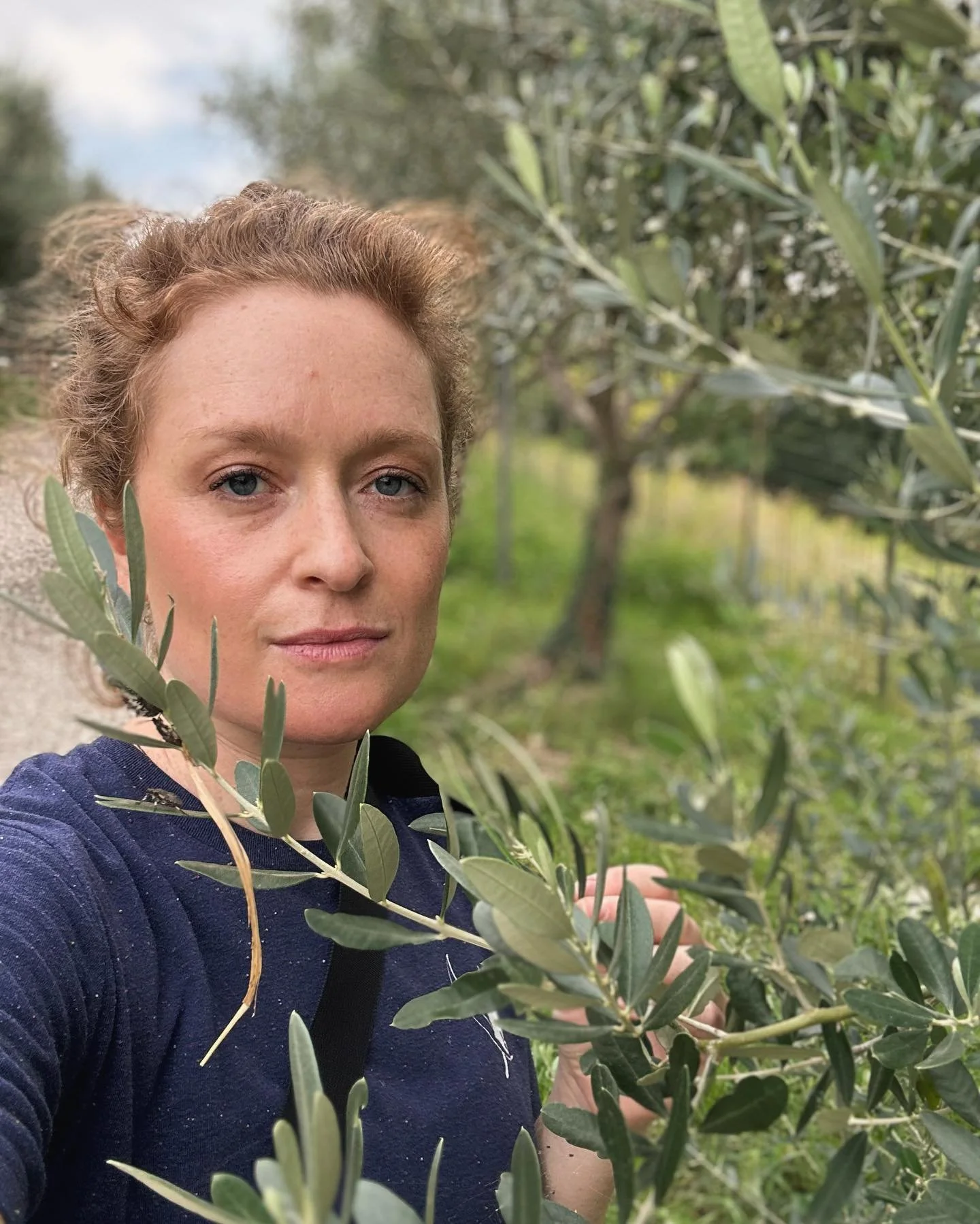 There is something mystical about olive trees, an aura that lingers around the silvery green leaves. I love walking through them, and they always make me think of Spain, where I spent six months studying abroad in my junior year of college. It was a 