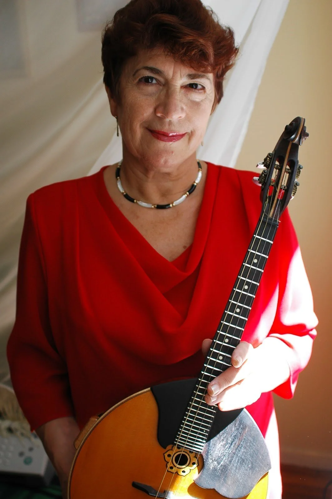 Professional Musicians — Concerts in Motion