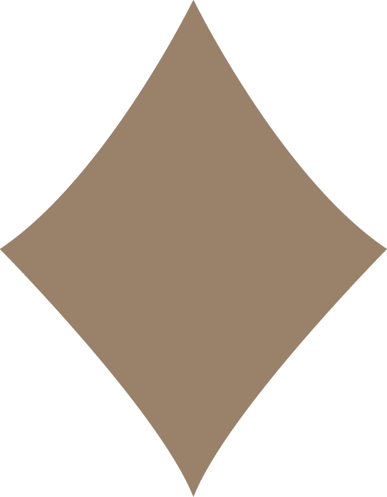 A diamond, one of Elena Lee's signature brand icons.