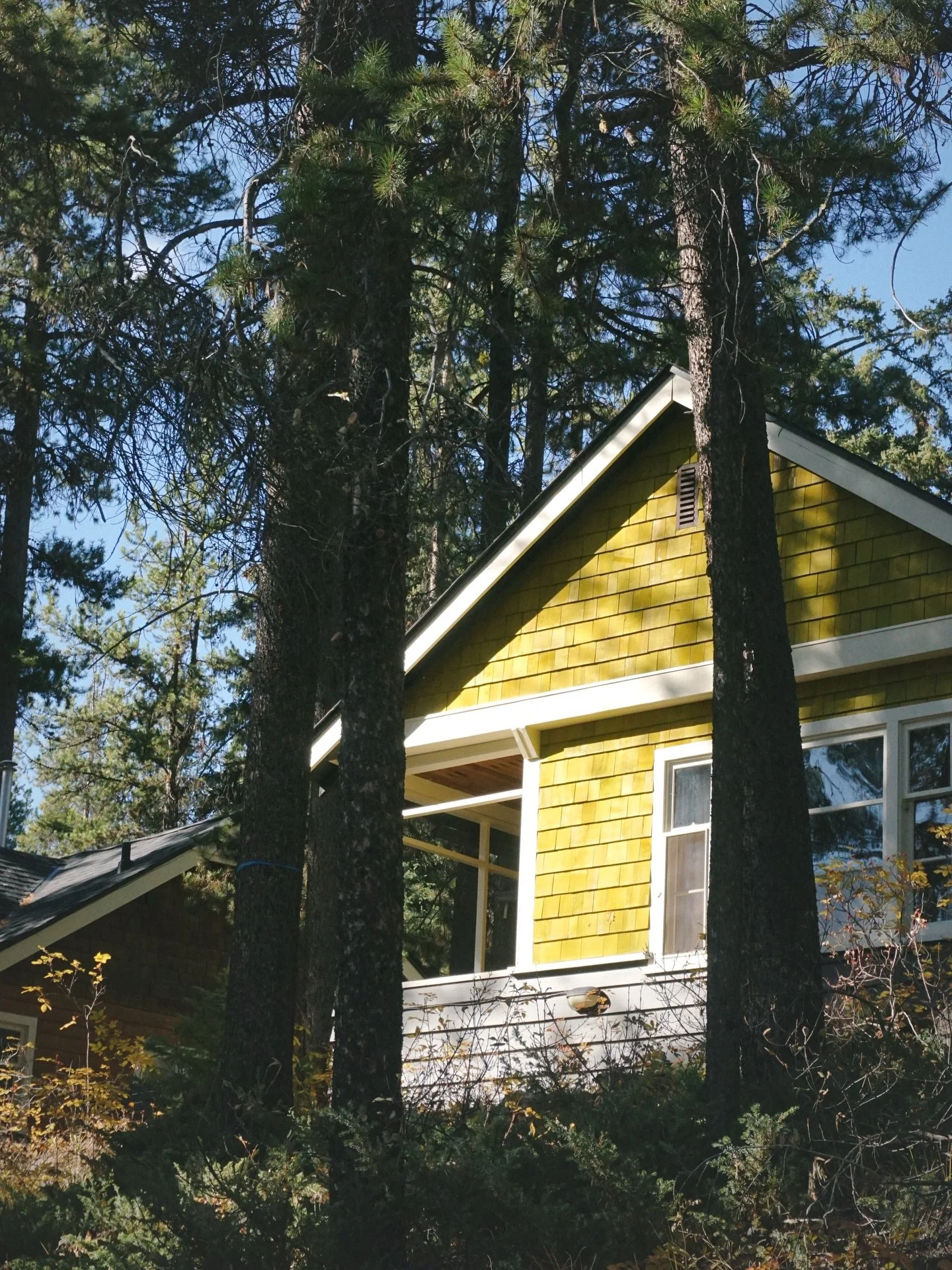 Even on our honeymoon, I was stopping to enjoy the local homes and scenery🏔️🏠

We enjoyed spending almost two weeks in Banff soaking in the mountains, some sunshine, some snow, lots of hikes, spending lots of time taking photos, and of course, hang
