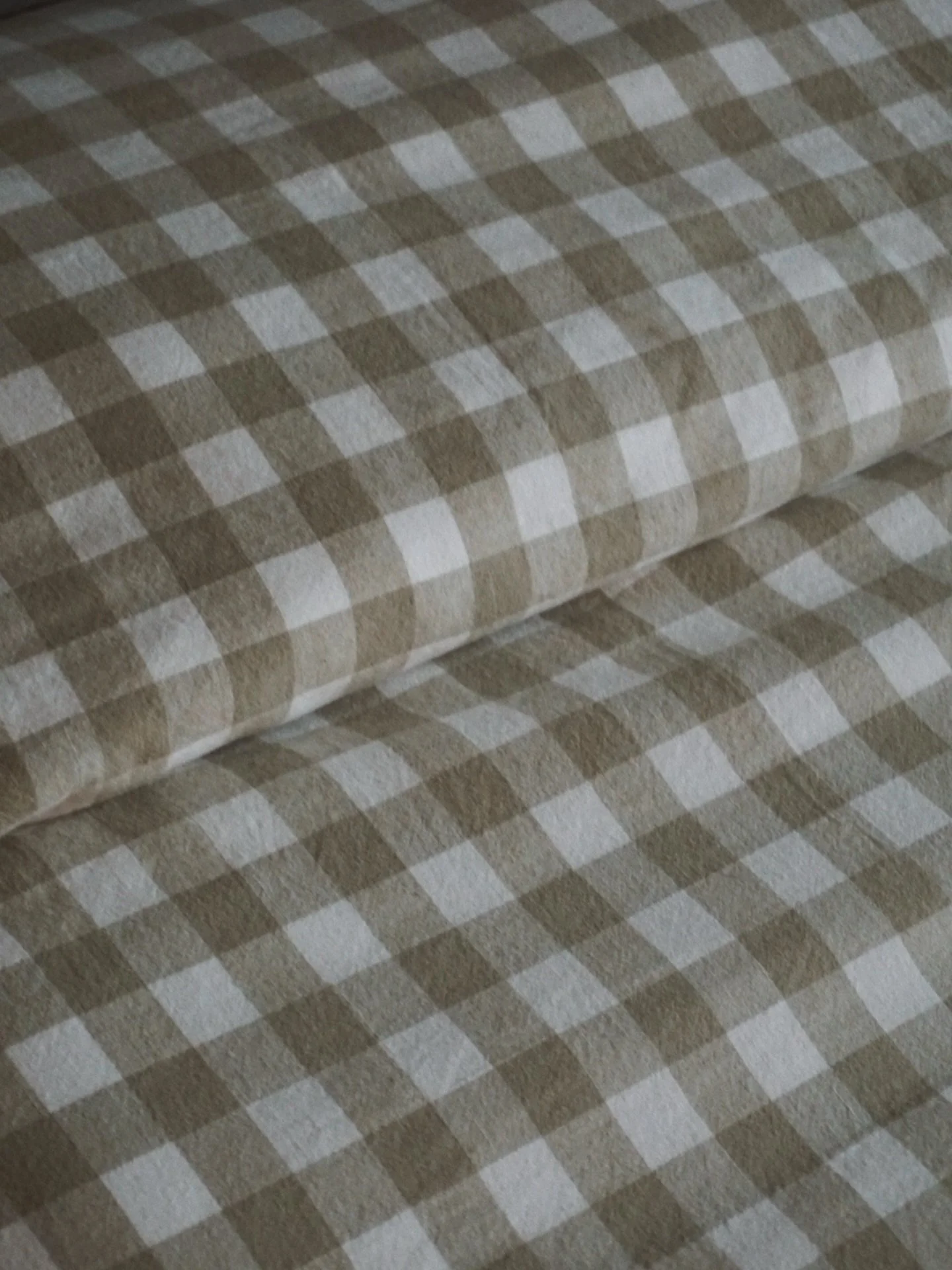 Gingham &amp; Green🪴

#bluetickstudiodesign #gingham #beddinginspo #interiorfilm #niagaradesigner