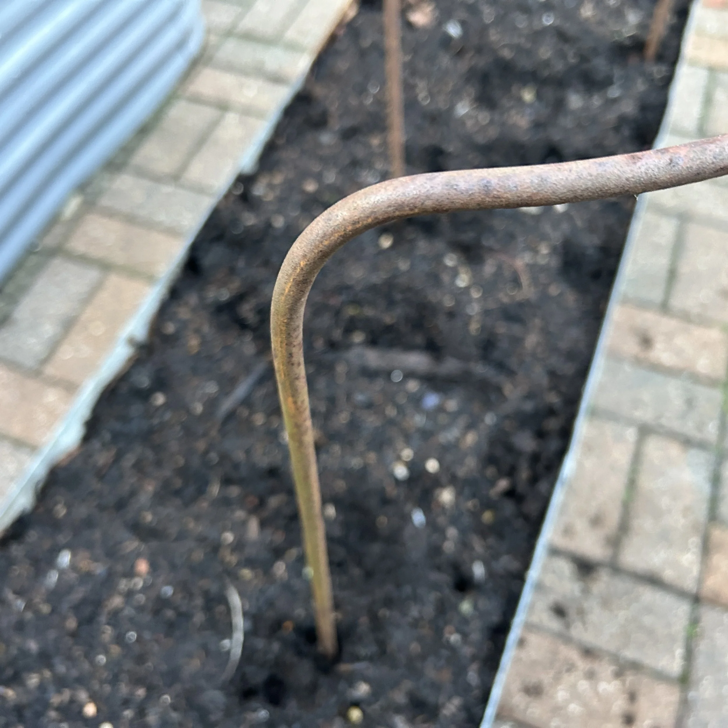 Photo 26-12-2025, 15 48 49.jpg