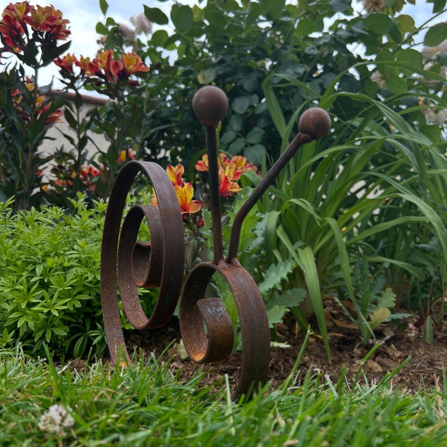 #sunnythesnail is waiting to welcome you to day 2 of the @ngslincs open garden event at Home Farm, Ryhall. 
Open today 11-16:30. 

#lincolnshireplantsupports #opengarden #charityevent #charity #stamford #lincolnshirelife