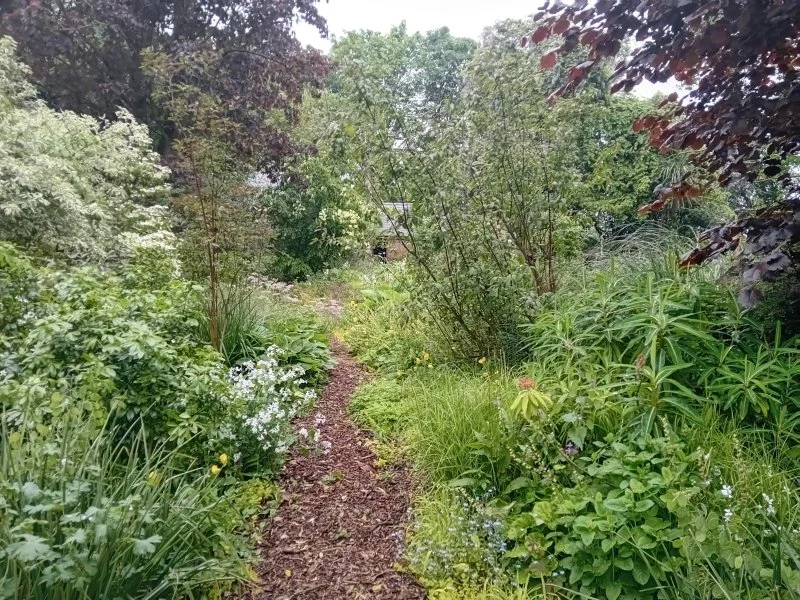 Holbeach Hurn Open Gardens - NGS - The Old Vicarage