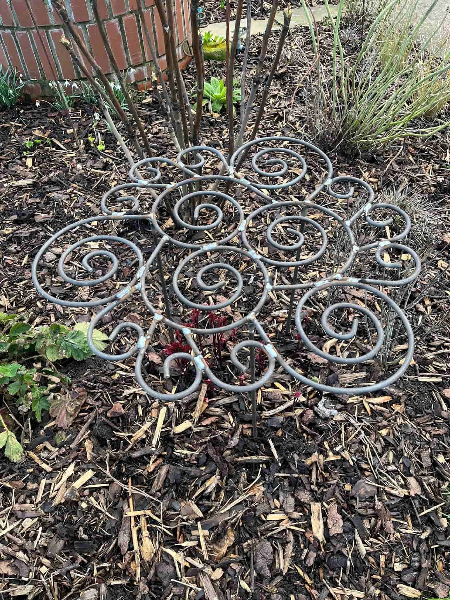 Large Grow Through.jpg