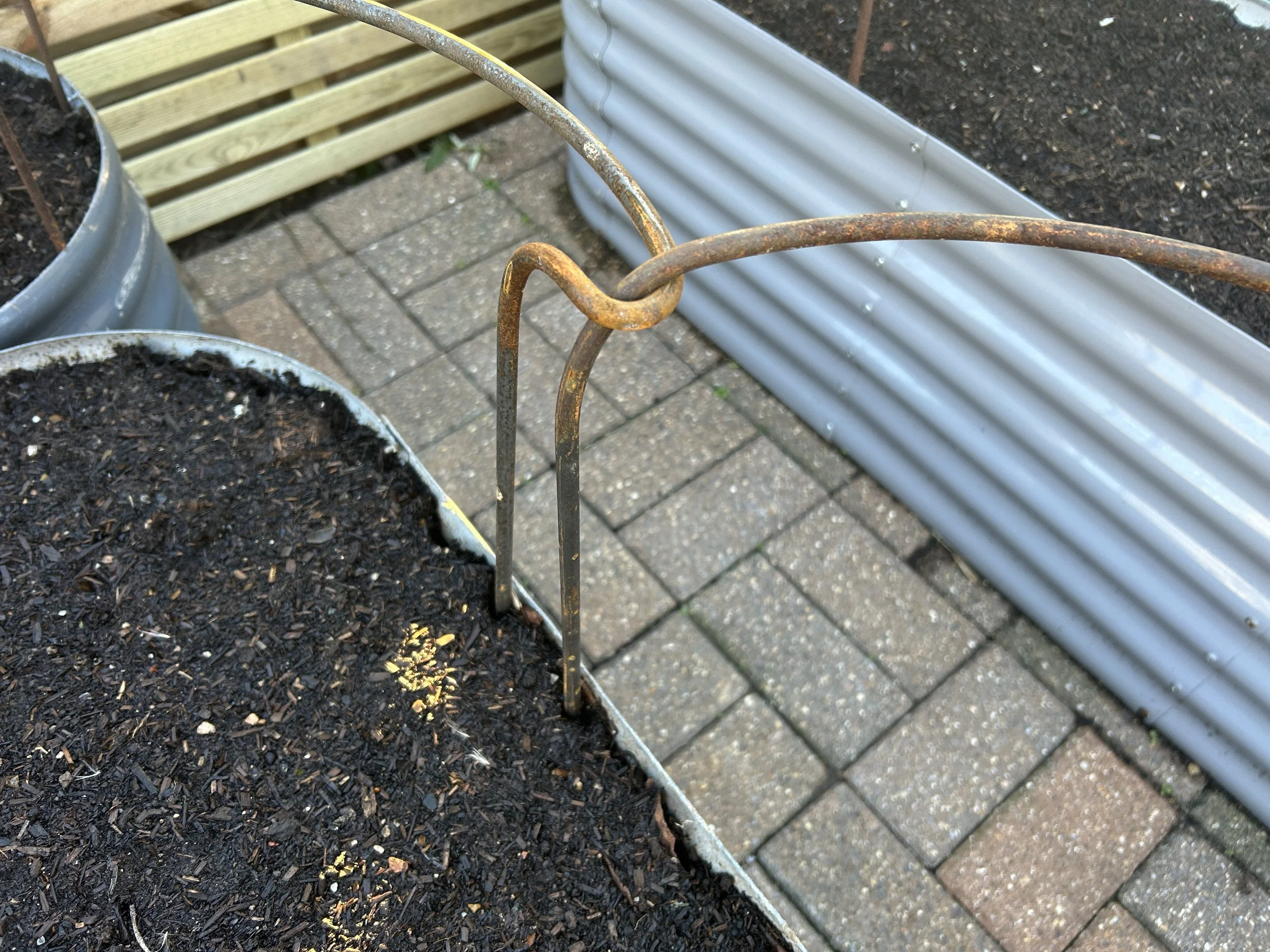 Photo 26-12-2025, 14 42 44.jpg