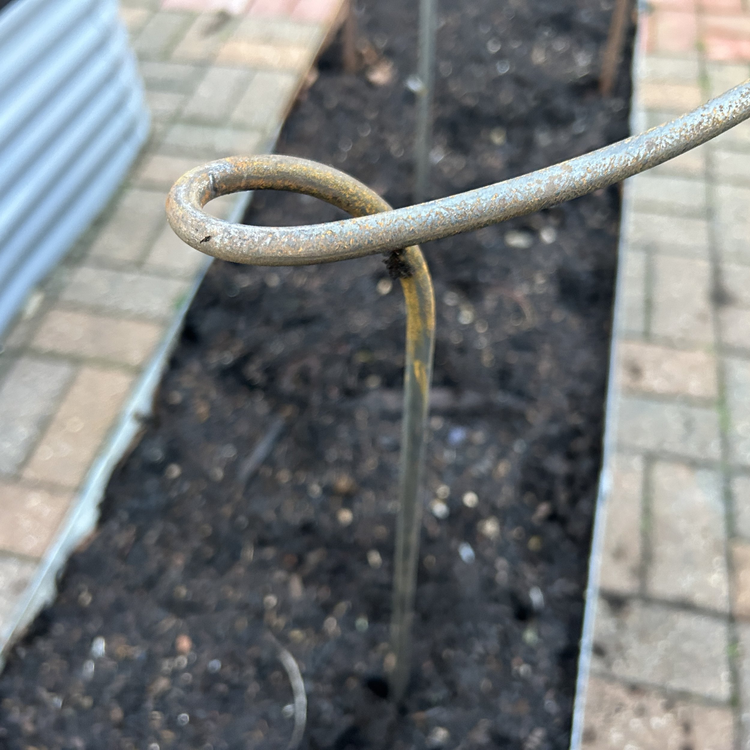 Metal-Garden-Hoop-Linking