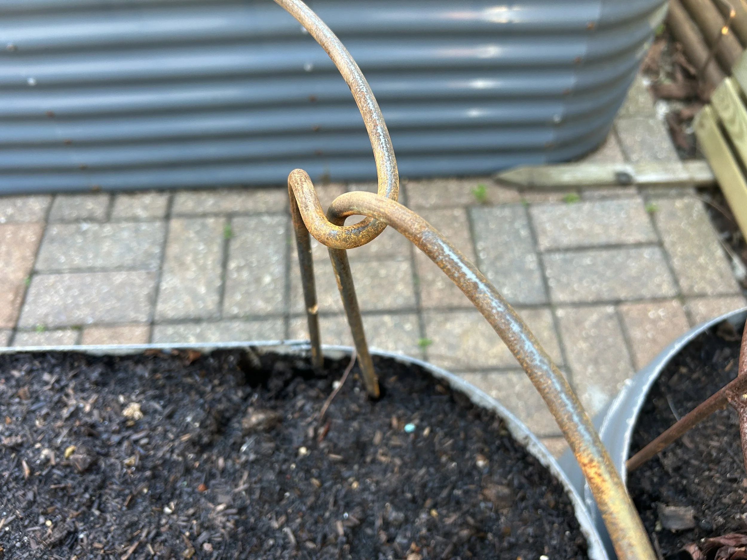 Interlinking herbaceous plant support hoops