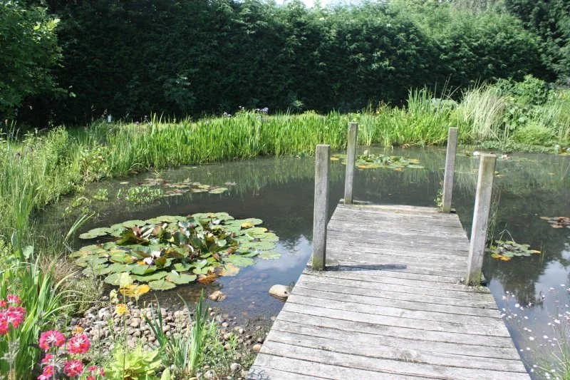Norwell Open Gardens