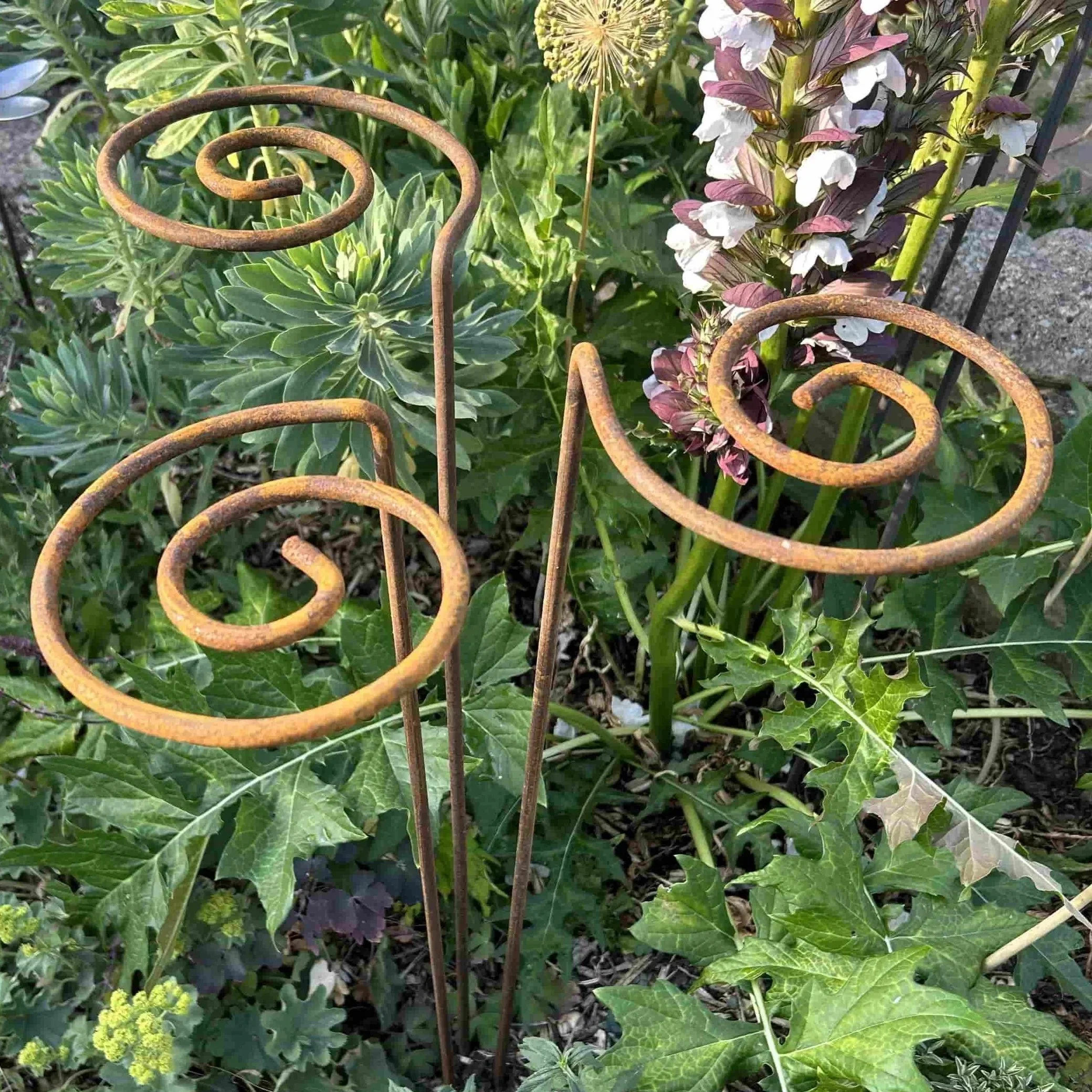 Single Stem Supports.