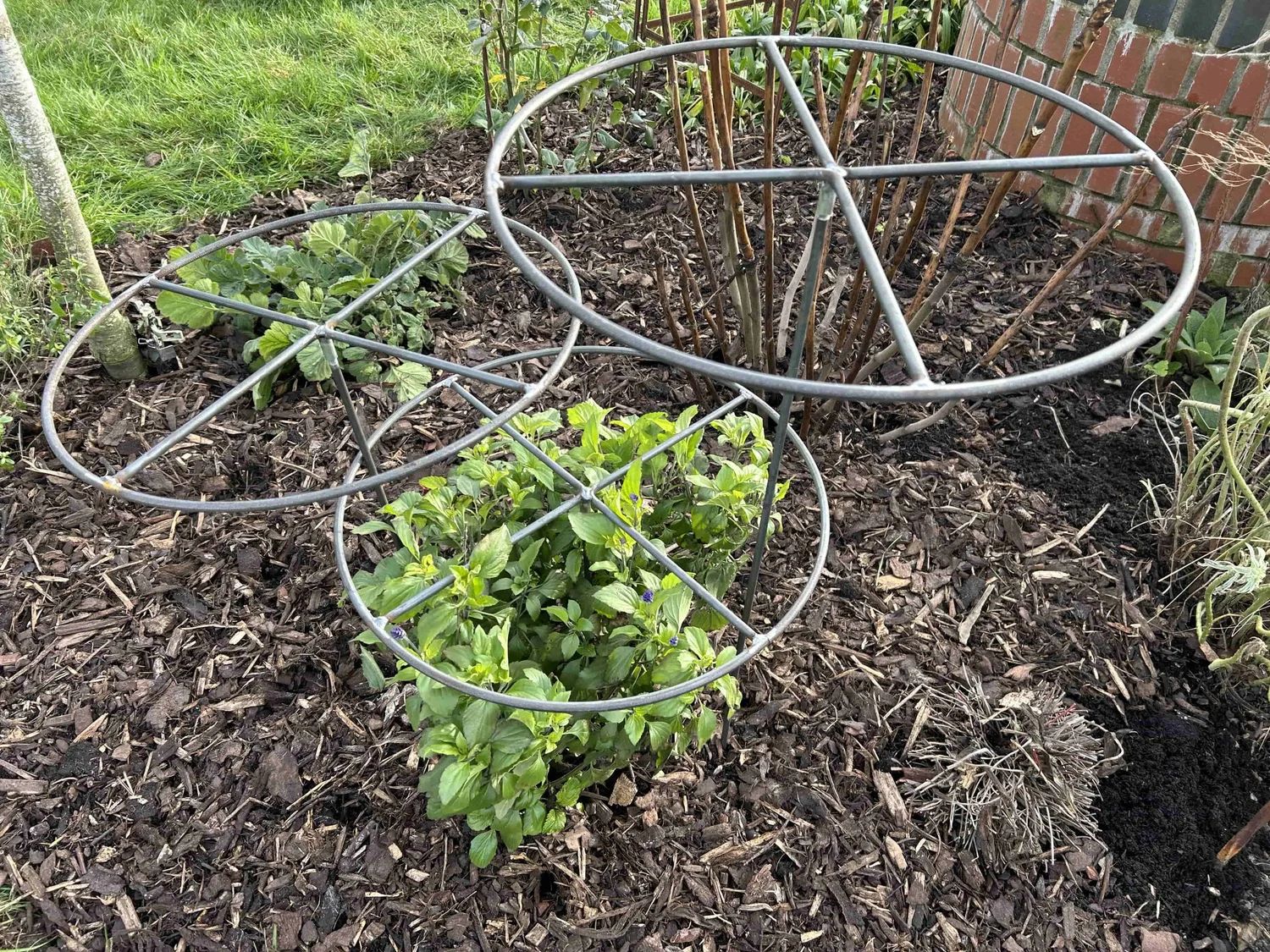 GrowThrough Plant Support - Lincolnshire Plant Supports Ltd.