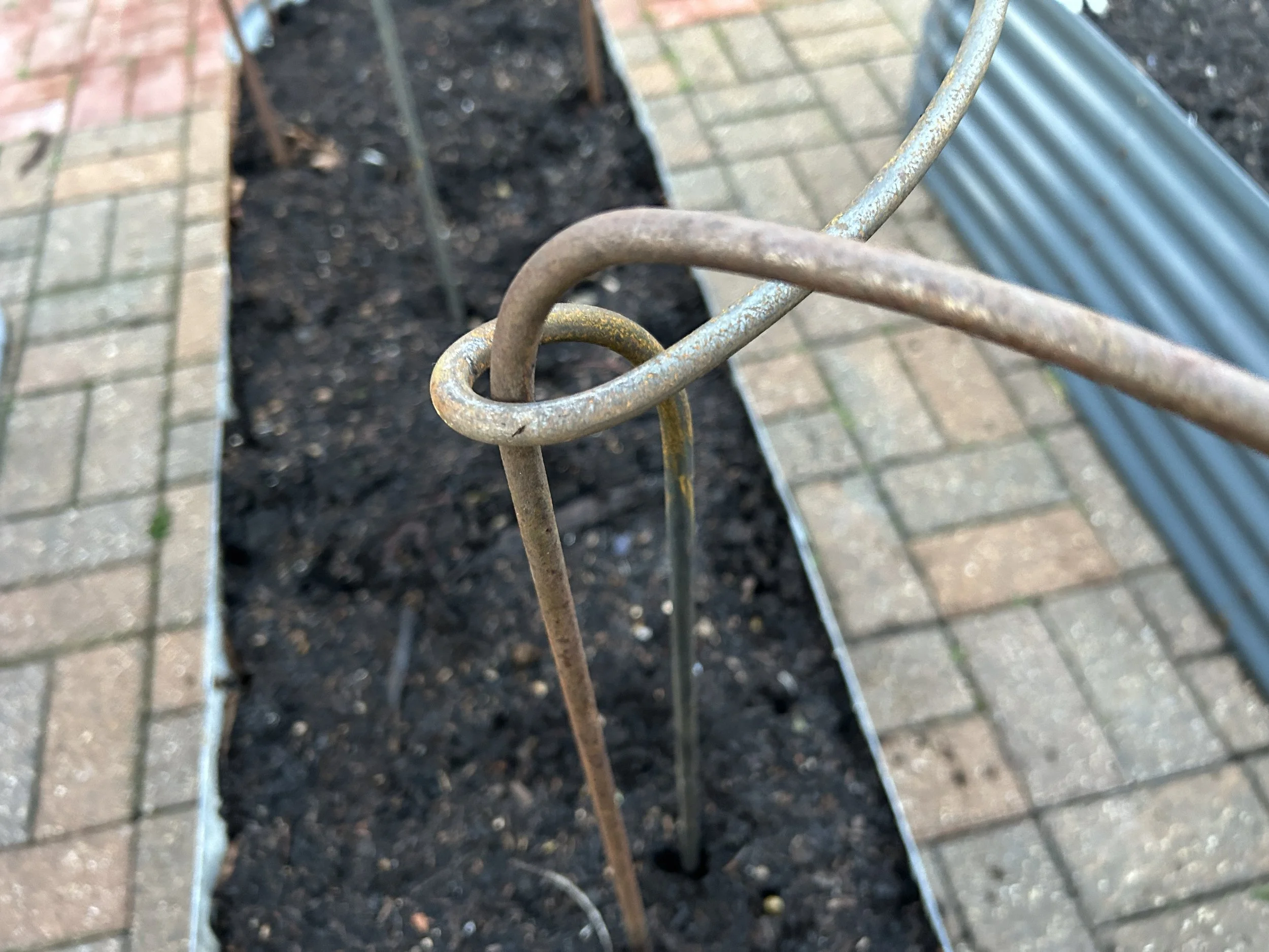 Photo 26-12-2025, 15 47 53.jpg