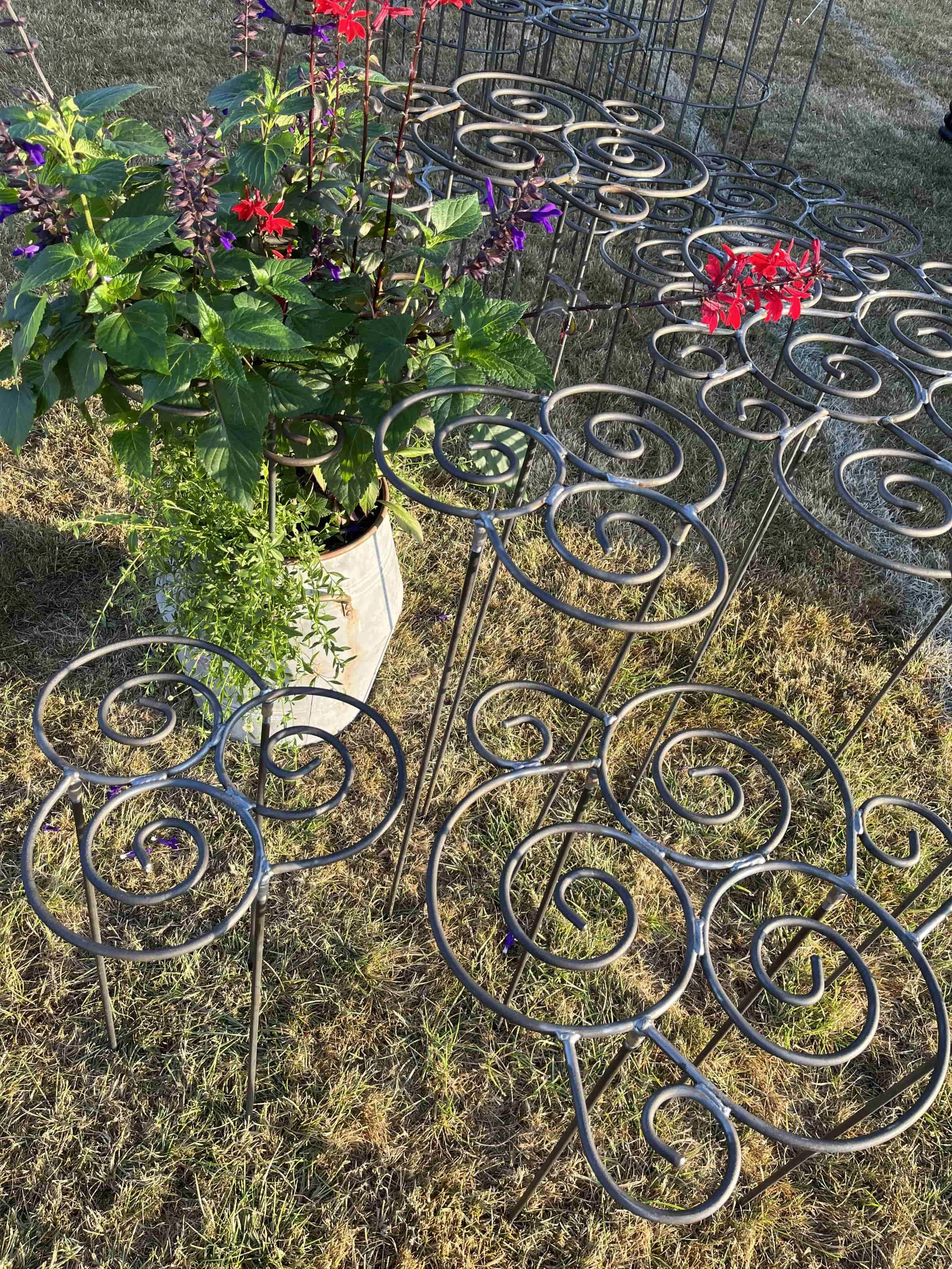 A collections of Grow-Through herbaceous supports