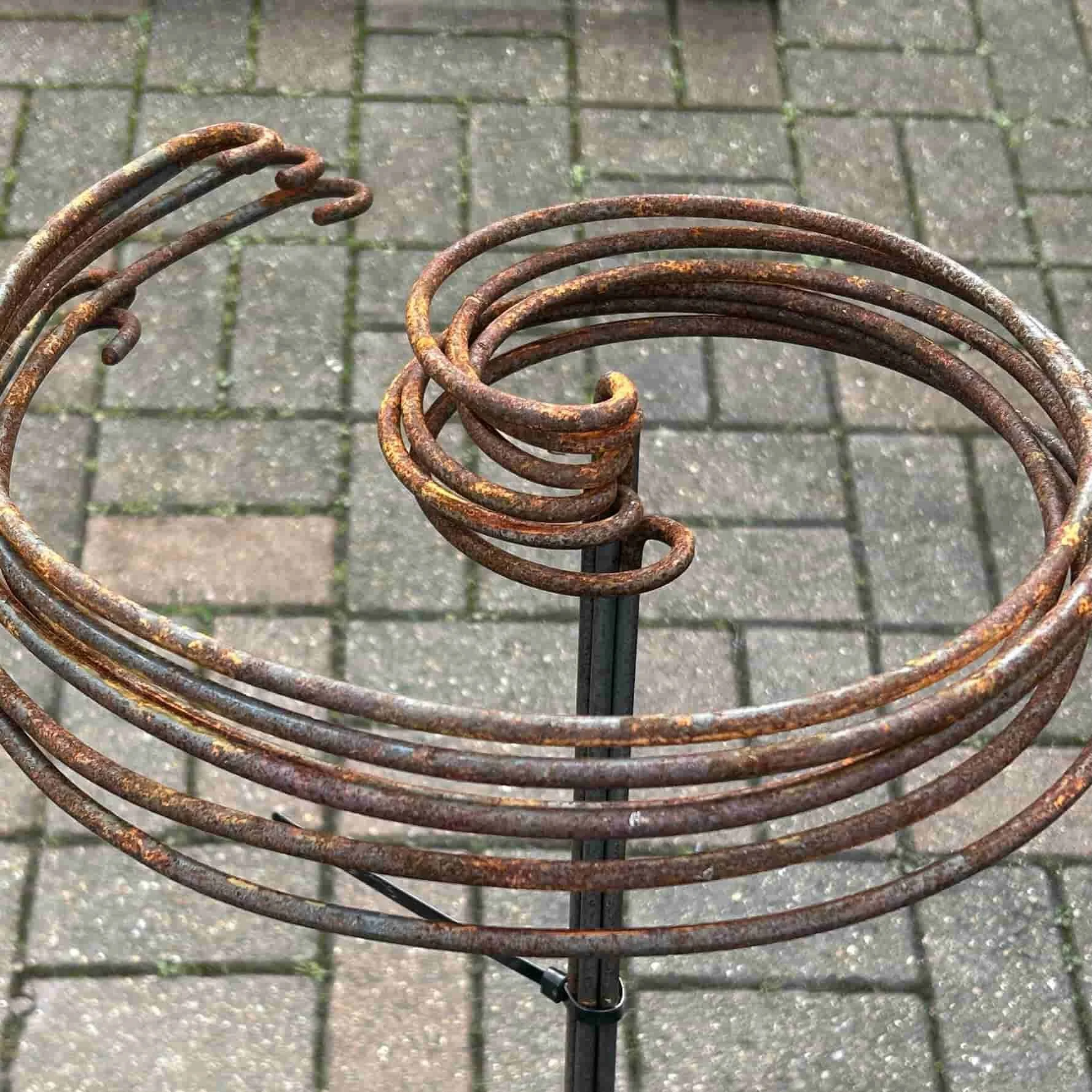 Spiral Plant Support for Multiple Stems