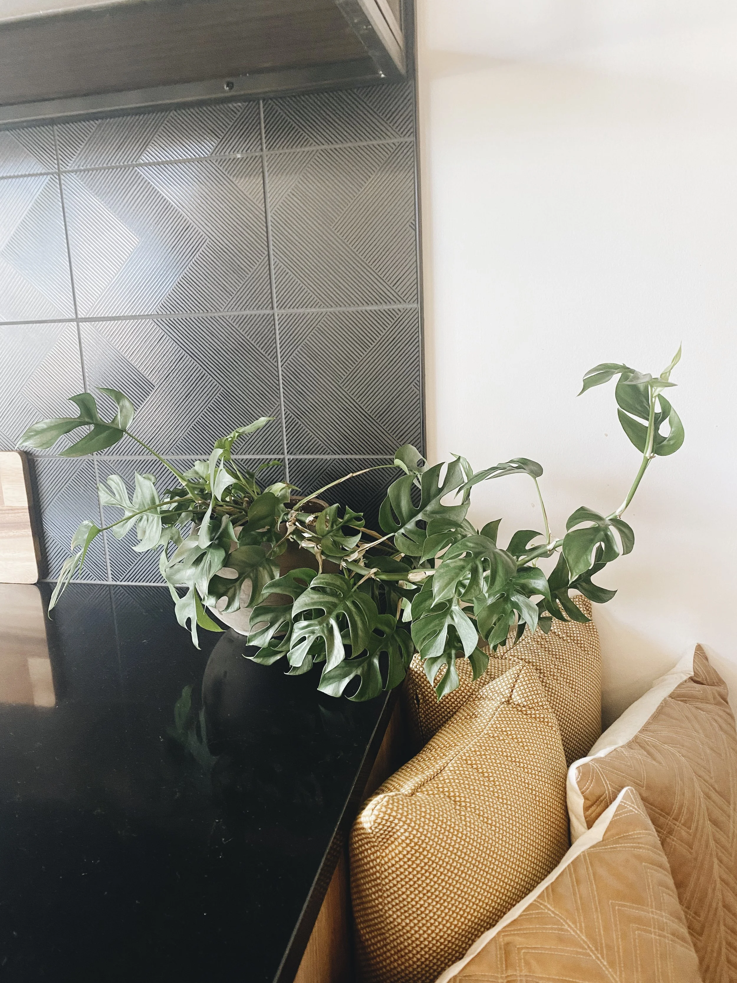 Photo May 17 2023, 12 20 12 PM-2.jpg