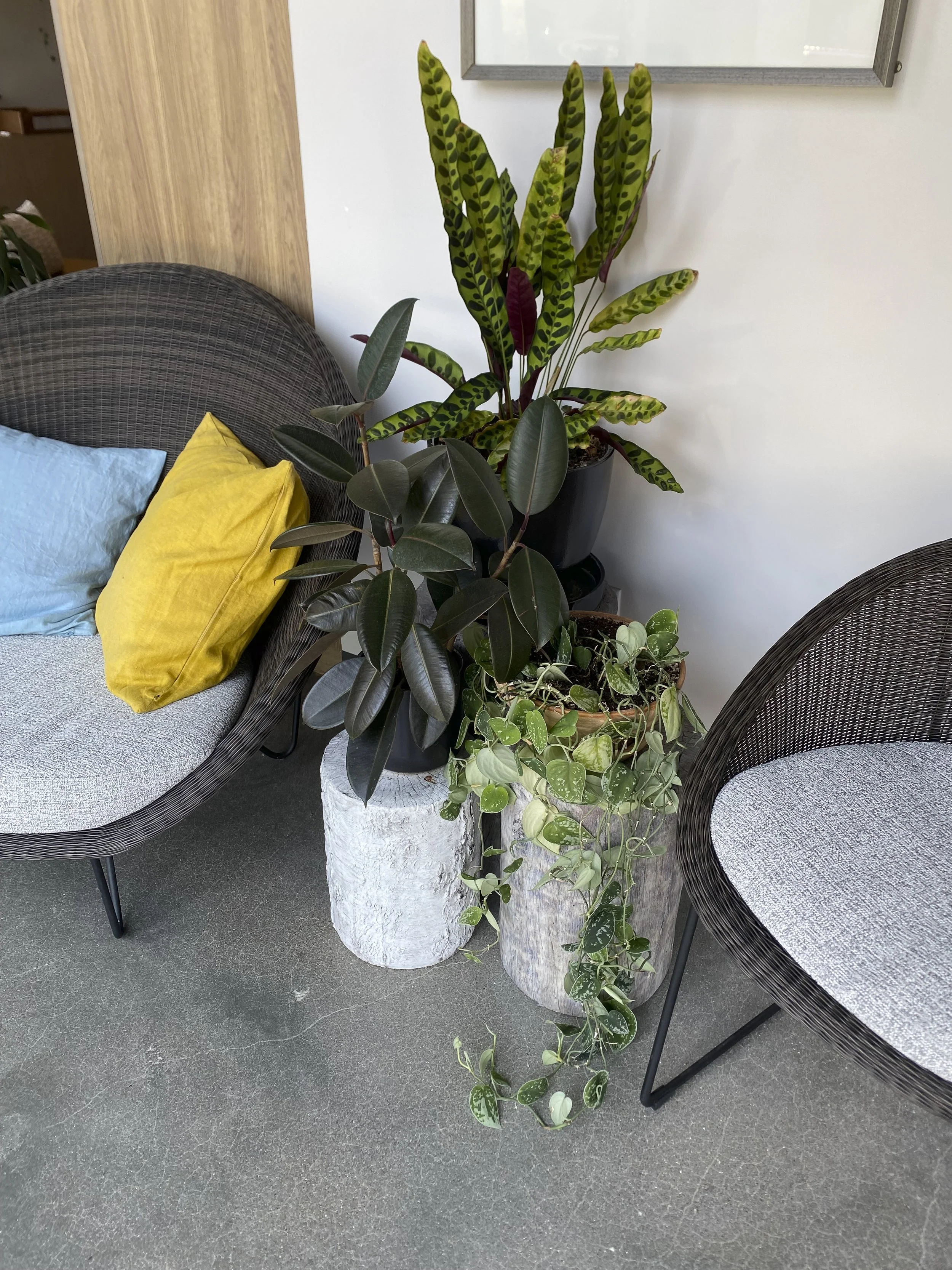 Photo Jun 08 2023, 12 46 52 PM-2.jpg