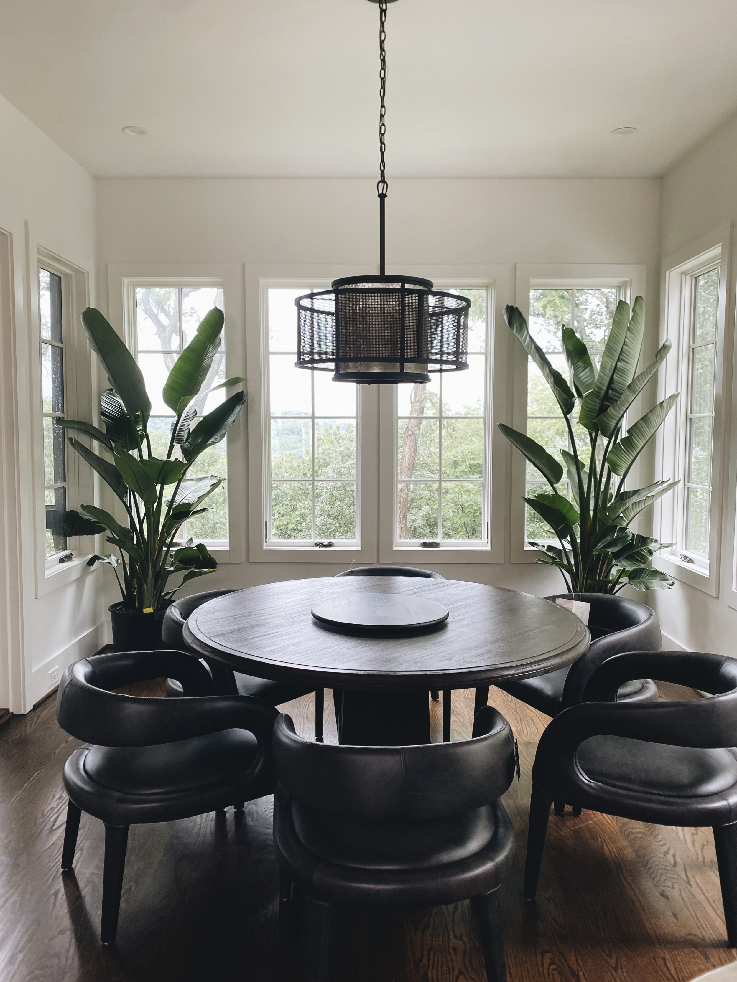 Photo Jun 17 2022, 11 43 20 AM-2.jpg