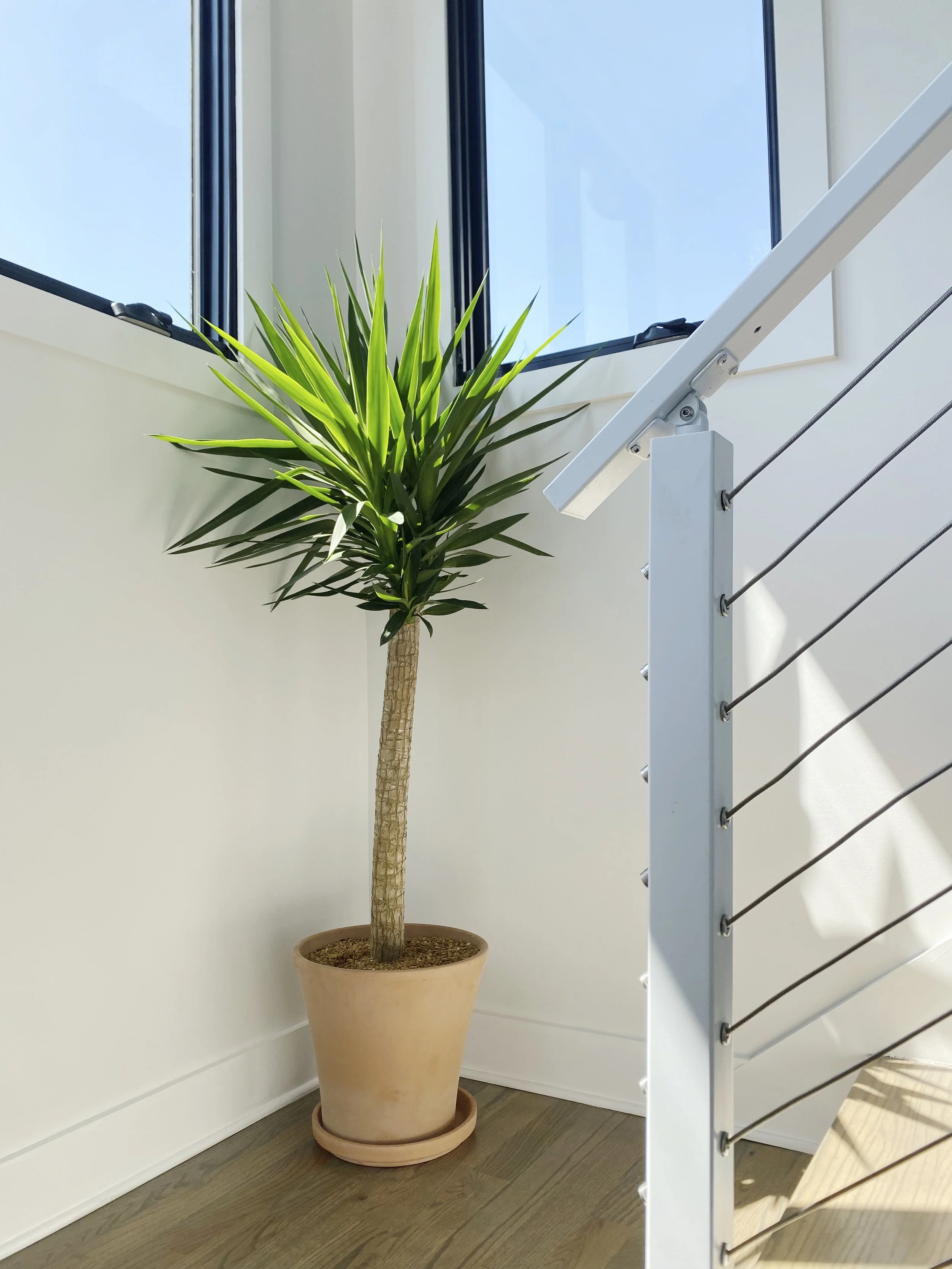 Photo Aug 18 2023, 11 03 54 AM-2.jpg