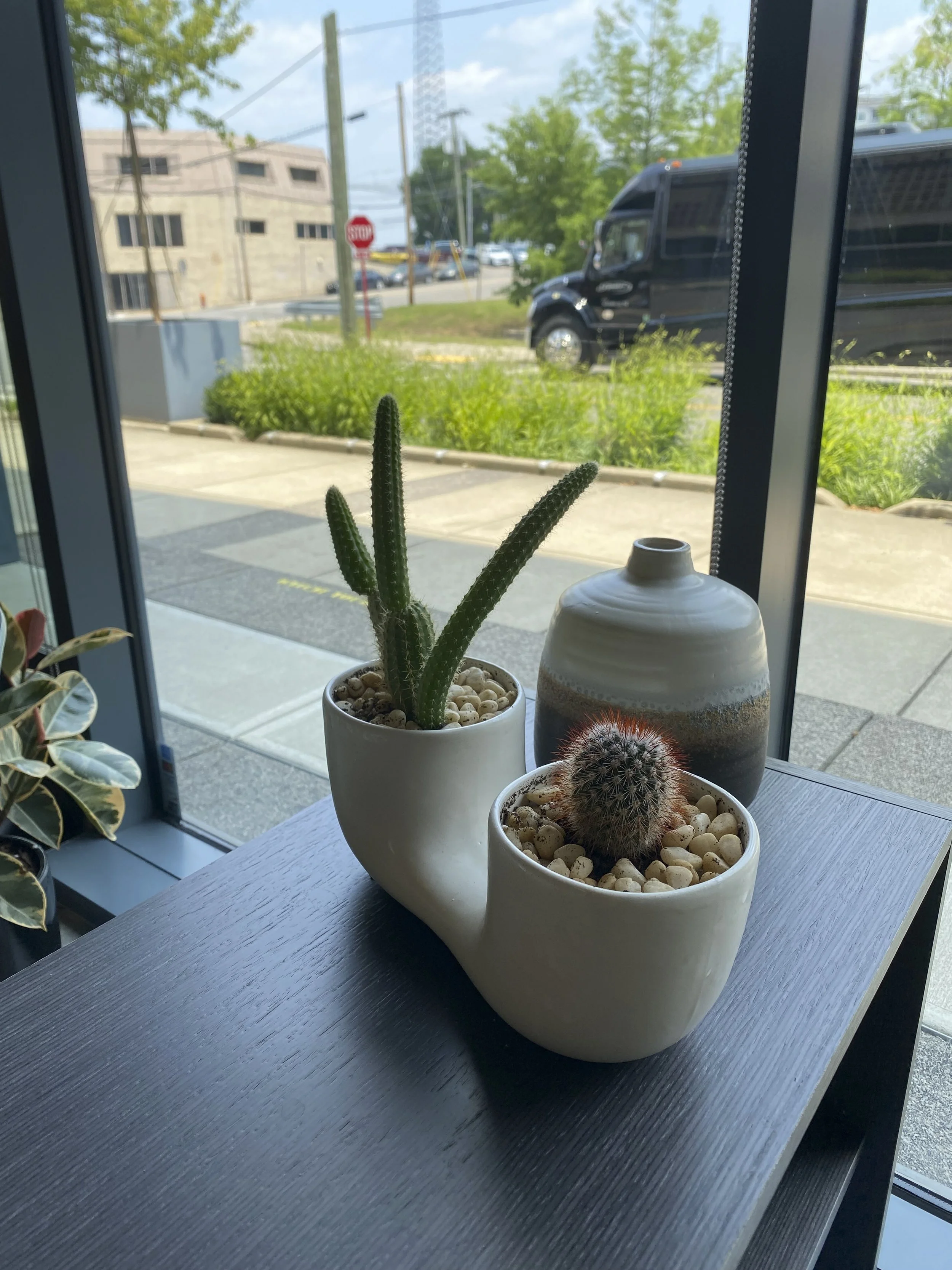 Photo Jun 08 2023, 12 47 52 PM (1)-2.jpg