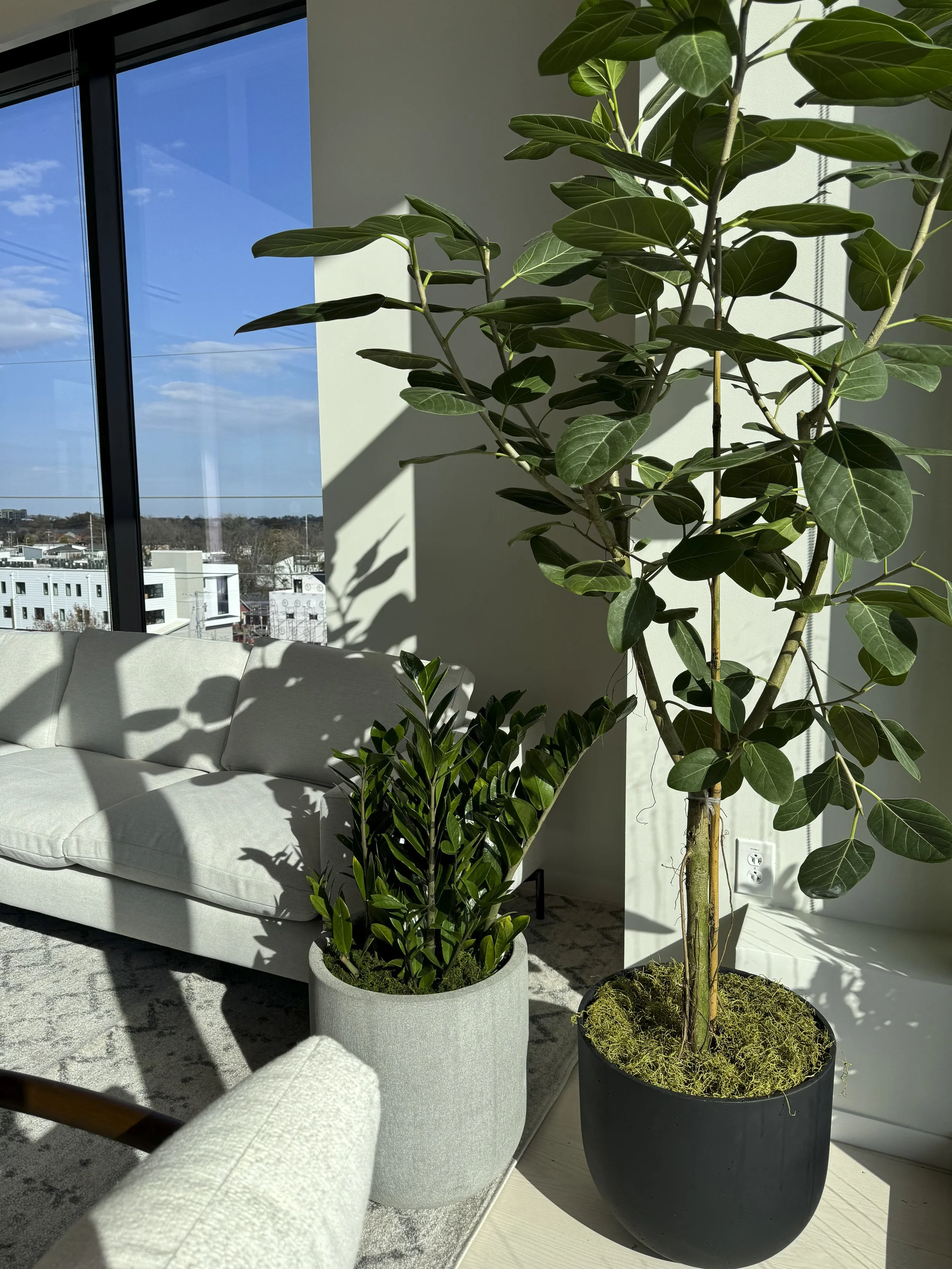 Photo Dec 04 2024, 12 04 06 PM-2.jpg