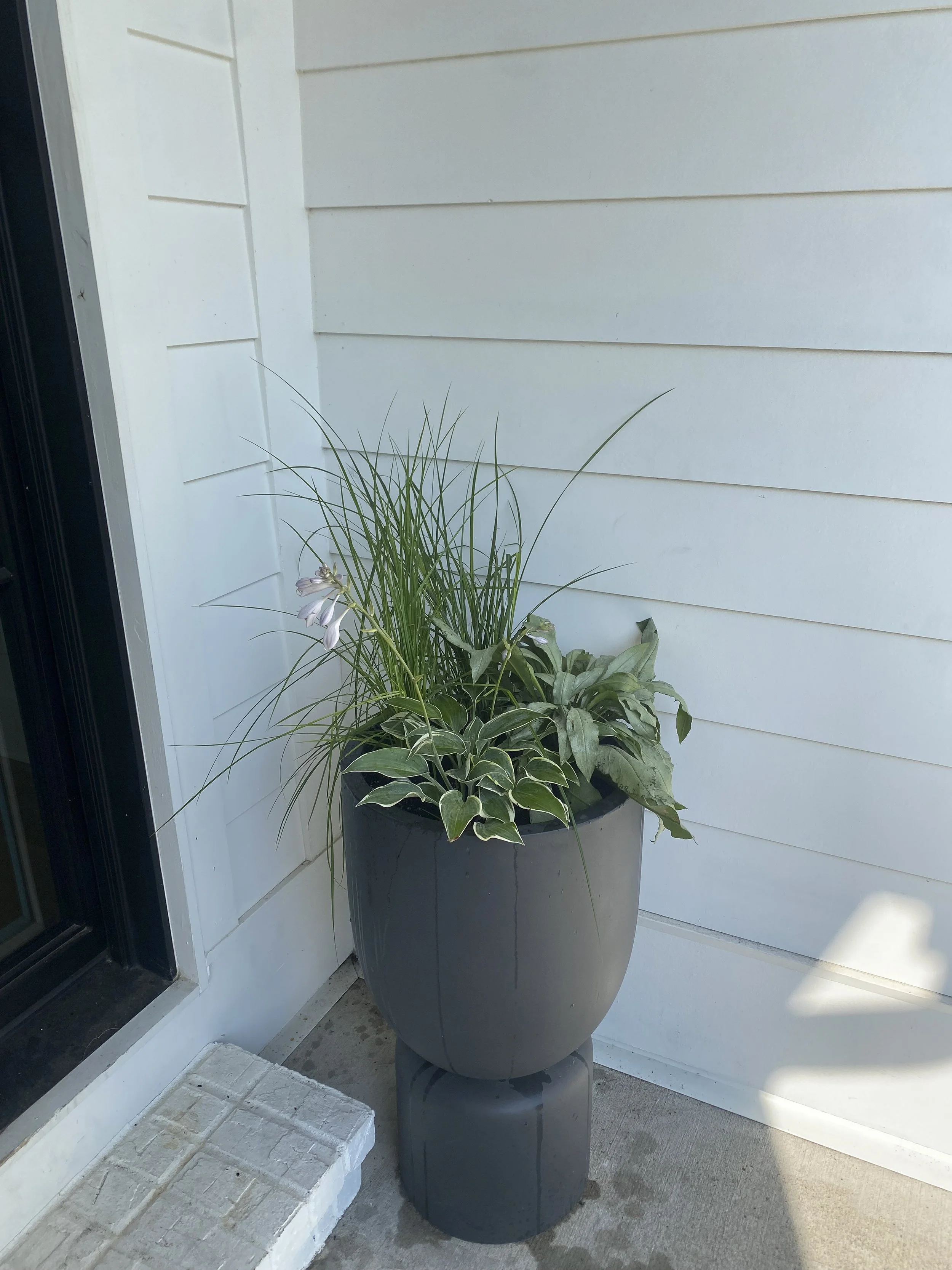 Photo Jun 30 2023, 9 20 49 AM-2.jpg