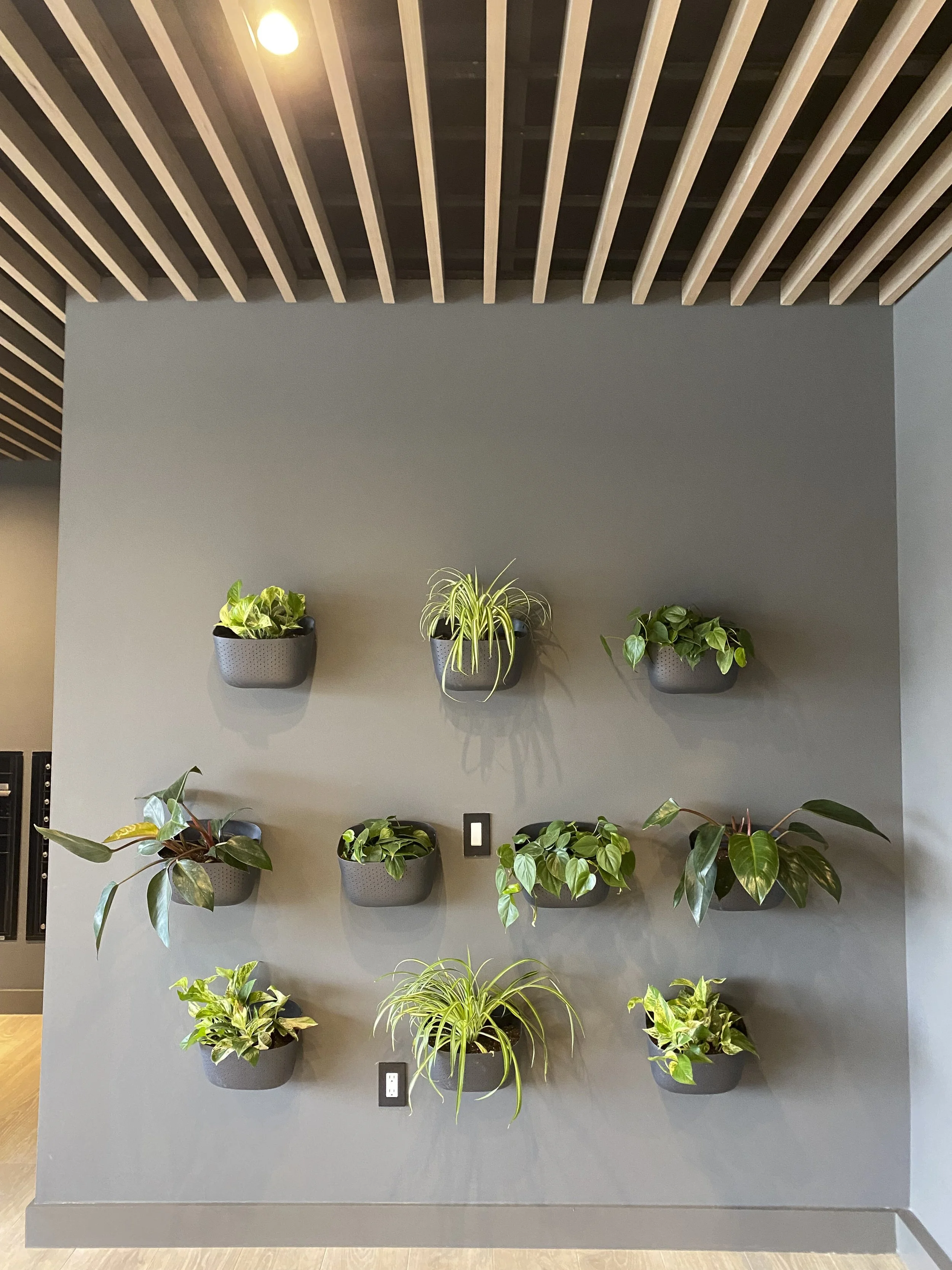 Photo Apr 06 2023, 9 53 38 AM-2.jpg