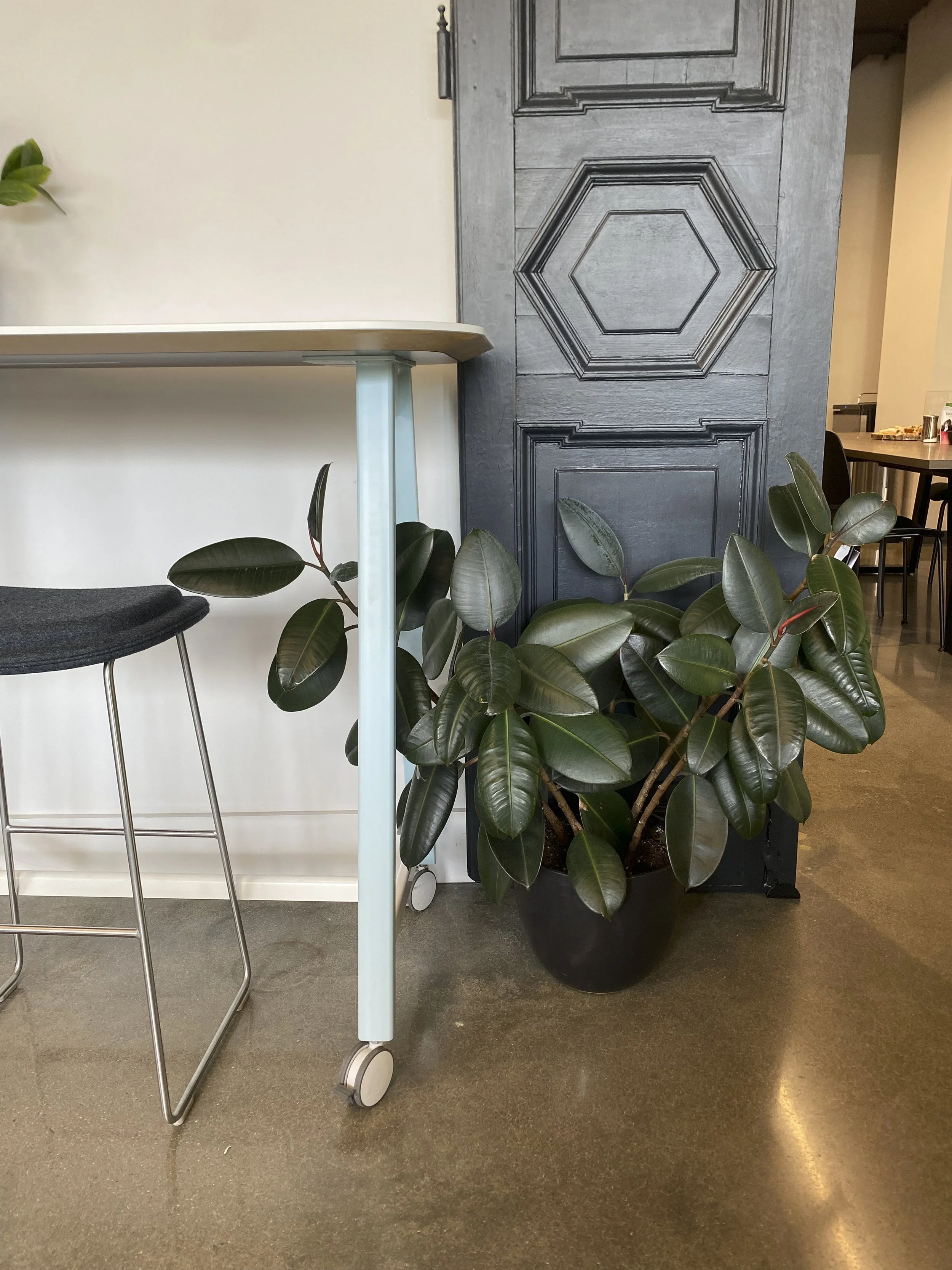 Photo Jun 08 2023, 12 48 19 PM-2.jpg