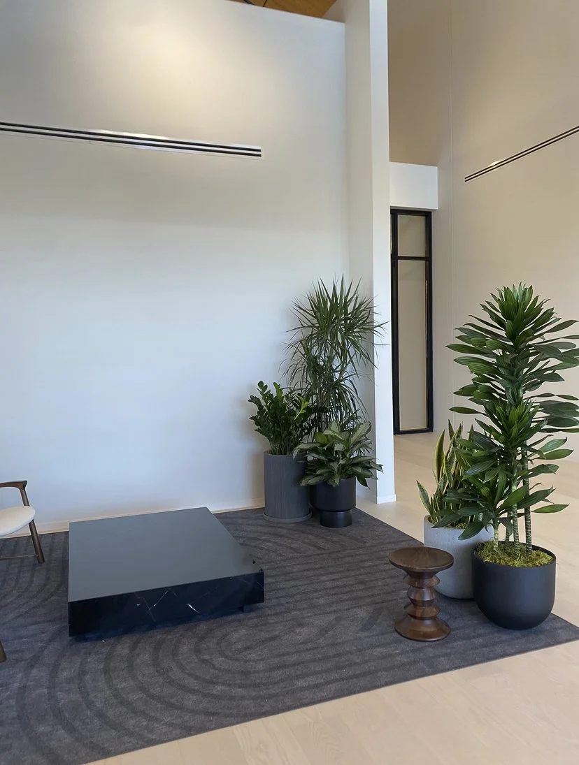 Photo Jan 20 2026, 9 26 40 AM-2.jpg