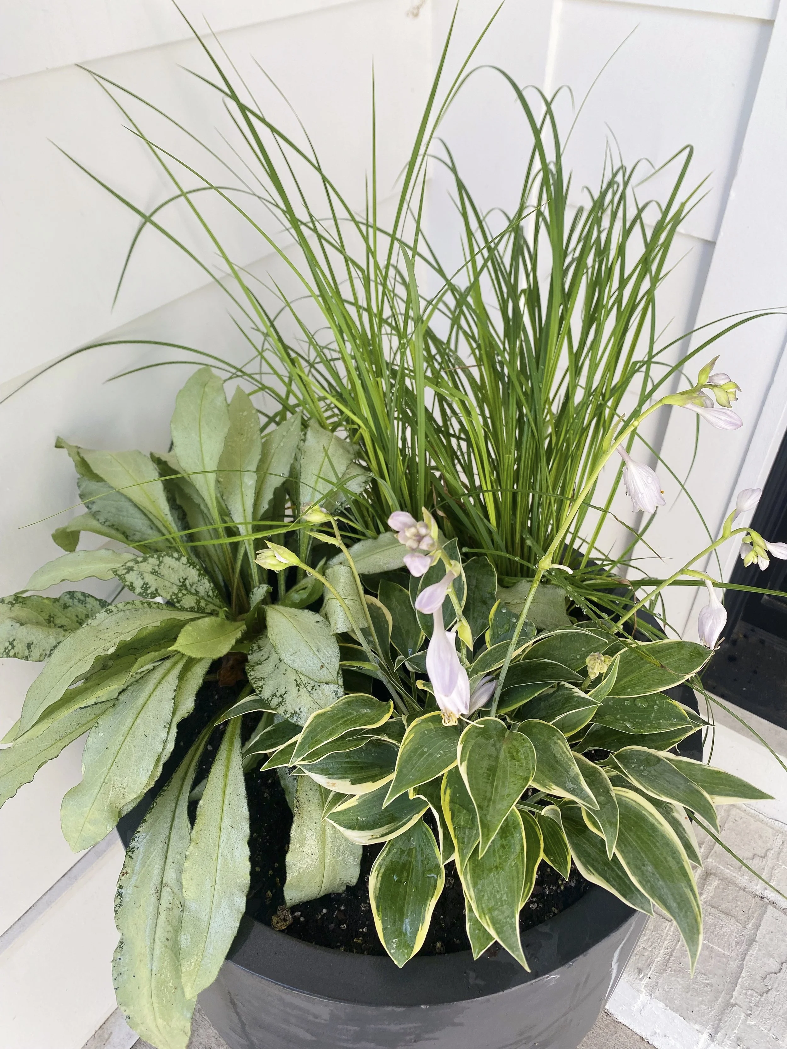 Photo Jun 30 2023, 9 20 47 AM-2.jpg