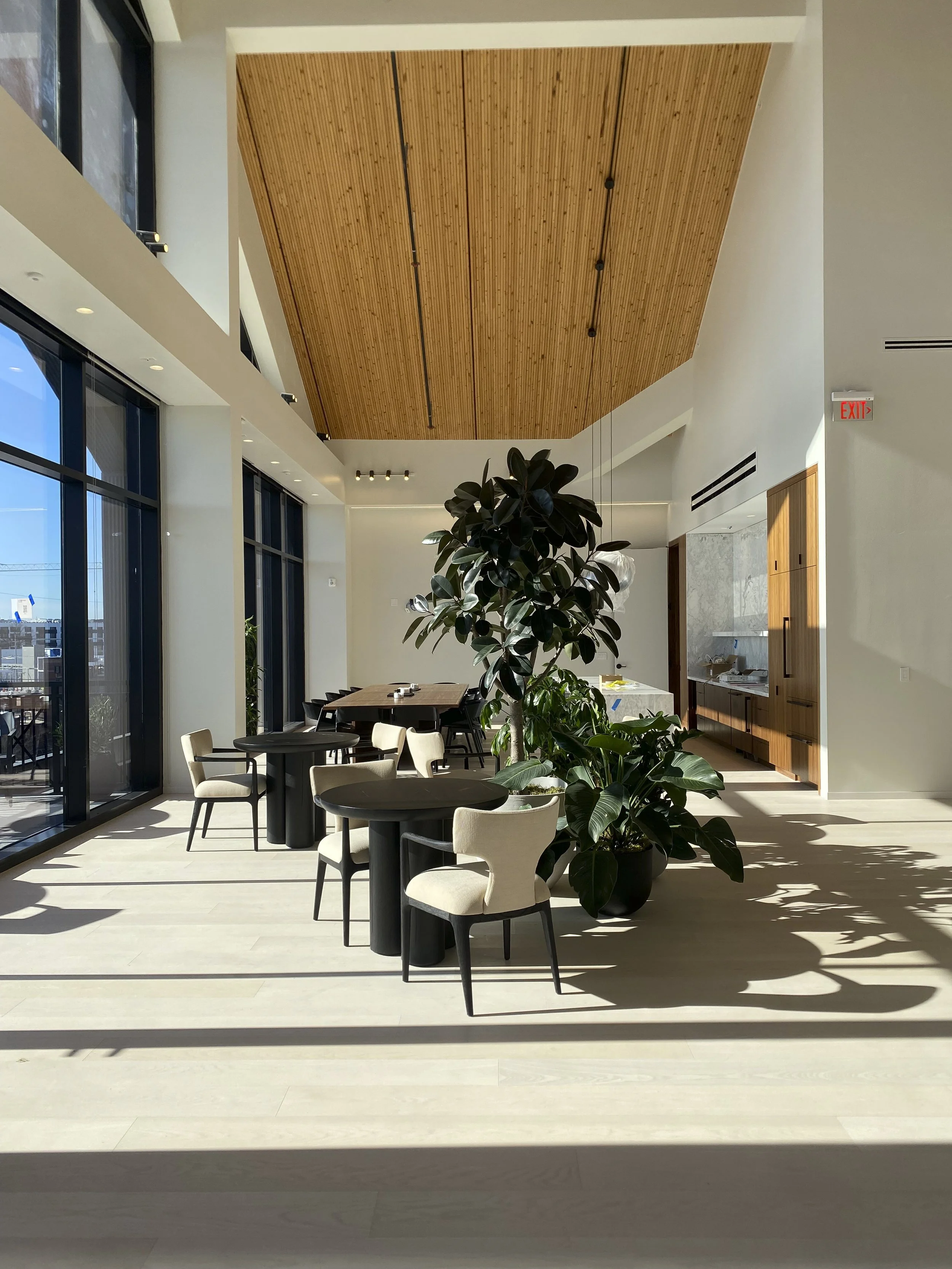 Photo Jan 16 2025, 10 04 07 AM-2.jpg