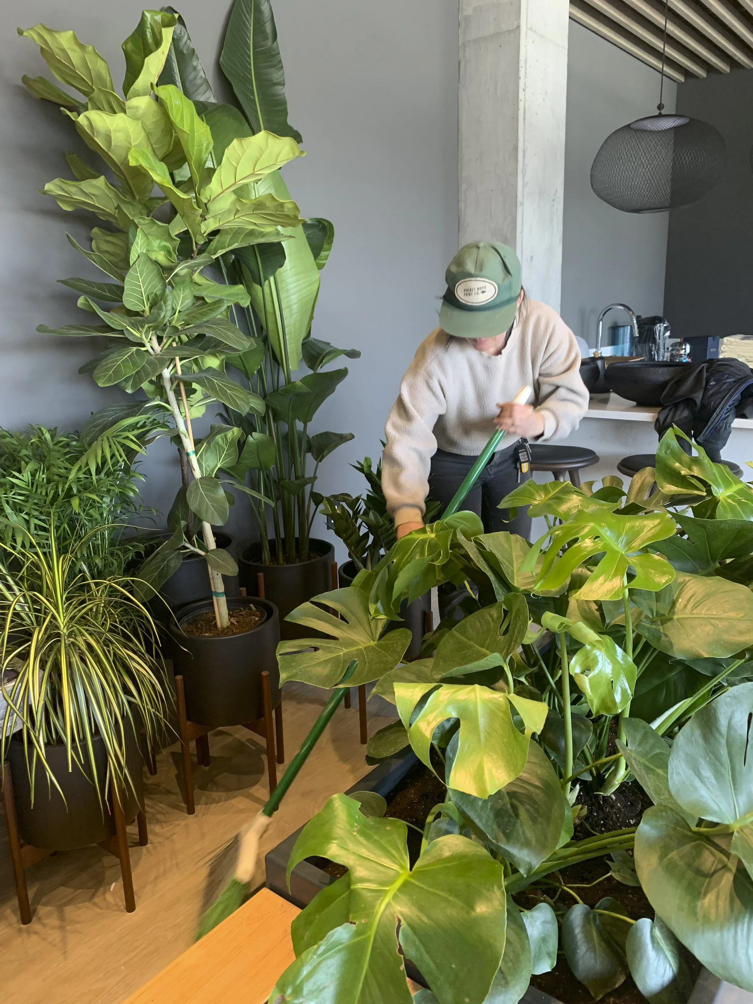 Photo Mar 28 2023, 12 19 02 PM-2.jpg